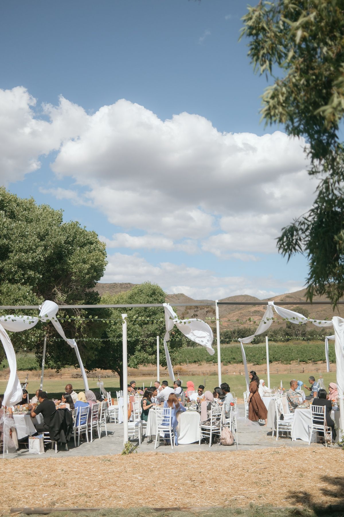 Elegant outdoor wedding reception with white decor under blue sky with rolling hills backdrop.