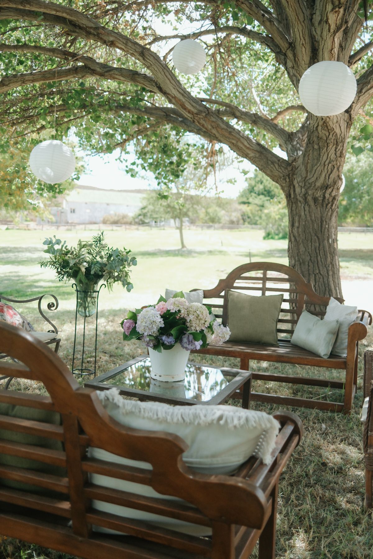 Elegant outdoor wedding lounge area with wooden benches, floral centerpiece, and white paper lanterns hanging from a large tree.