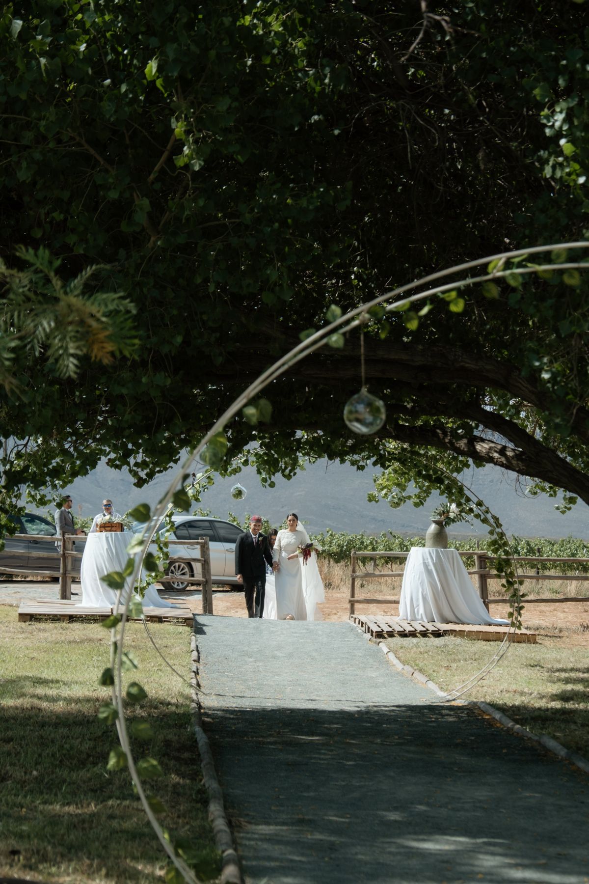 Bride and groom walking down aisle at outdoor vineyard wedding ceremony framed by tree arch.