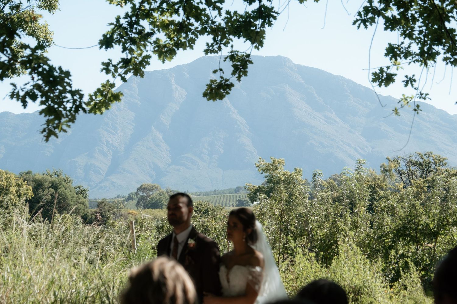 Bride and groom exchange vows outdoors with stunning mountain backdrop during wedding ceremony.