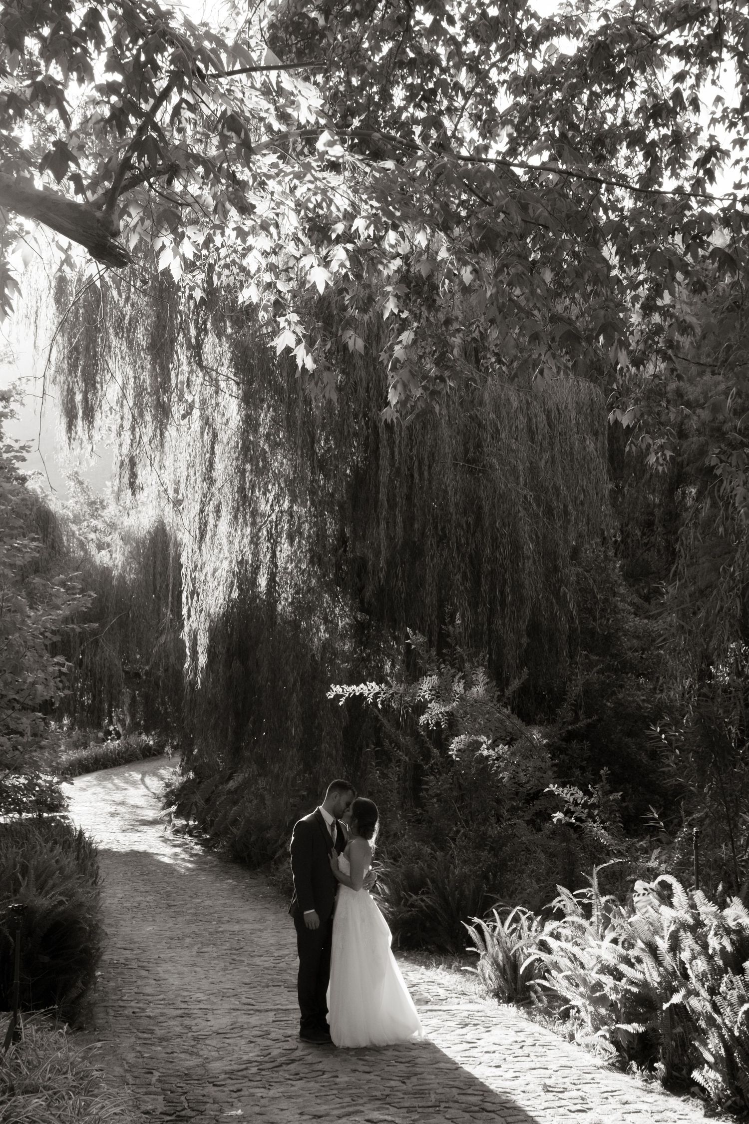 Black and white romantic photo of newlyweds embracing on a stone path under weeping willow trees.