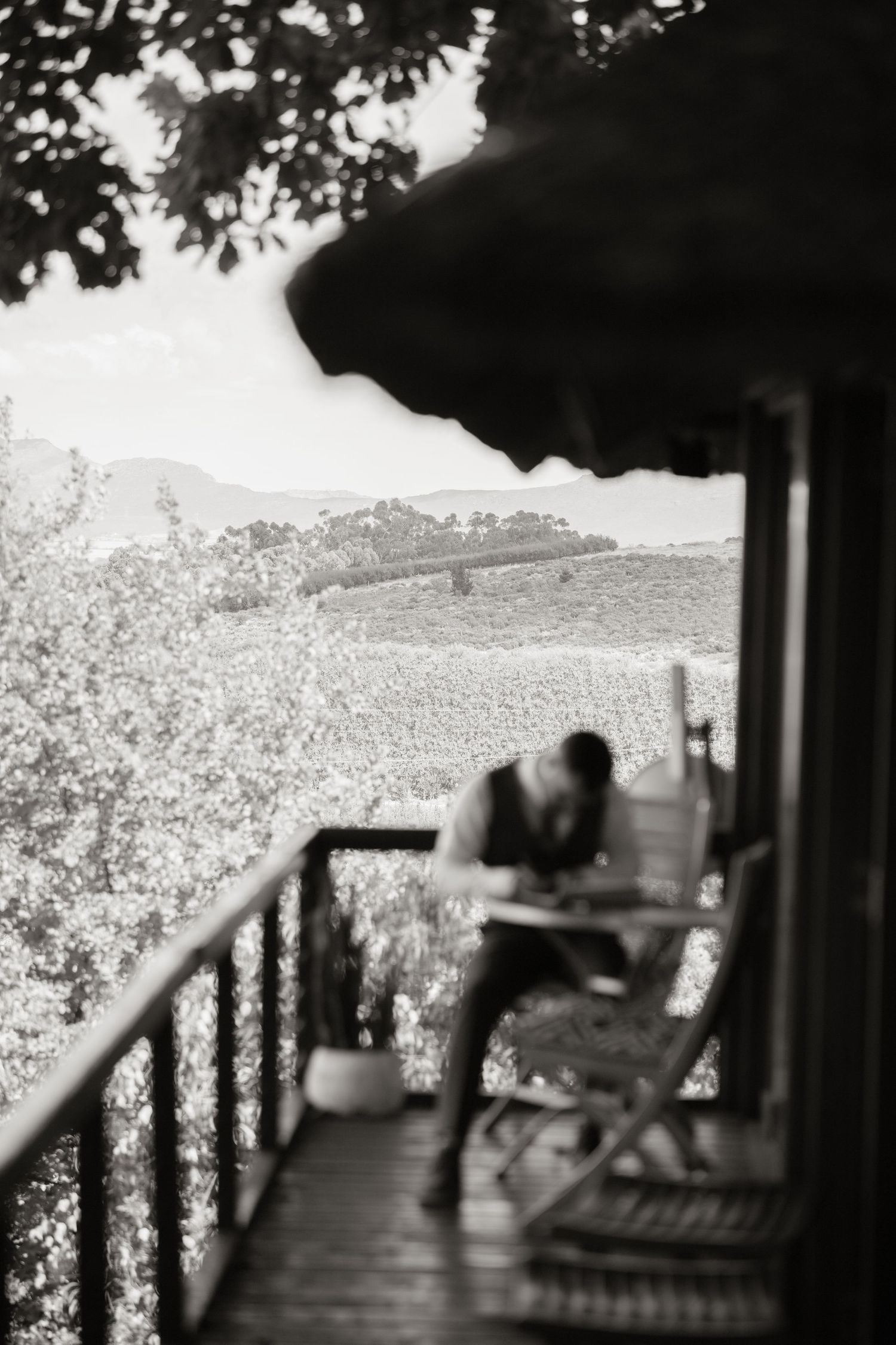 Black and white photo of a person sitting on a wooden deck overlooking rolling vineyard hills in a serene countryside setting.