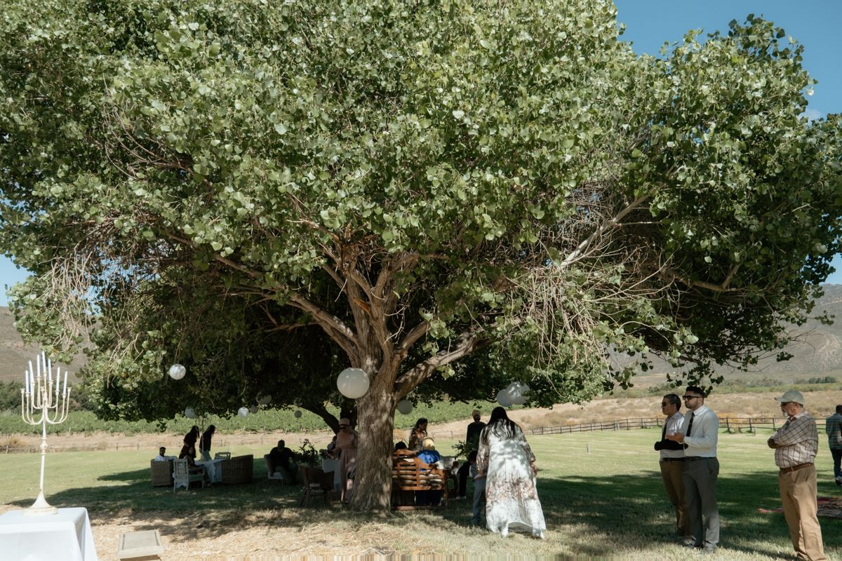 Wedding guests gathering under a large shady tree at an outdoor rustic countryside ceremony.