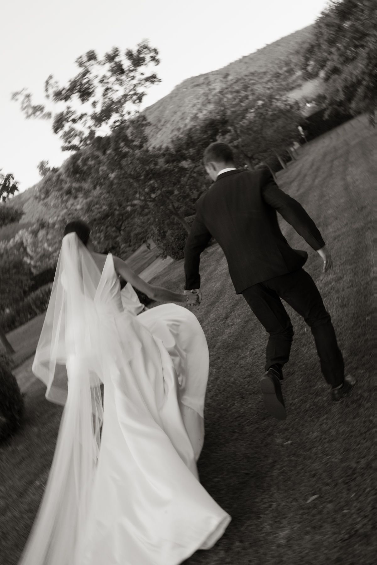 Black and white photo of bride and groom walking hand in hand up a hillside after their wedding.