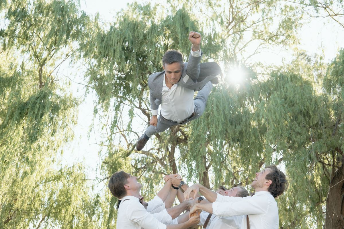 Groomsmen playfully toss groom into the air beneath a sunlit willow tree at wedding.