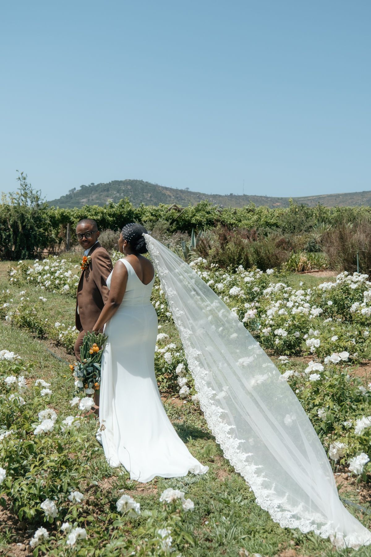 Bride and groom embrace in a white rose garden, her lace veil flowing in the breeze with green hills behind.