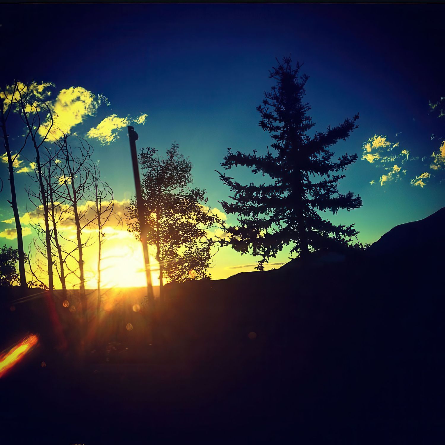 Silhouetted trees against a dramatic sunset sky with sun rays peeking through the branches in a scenic nature landscape.