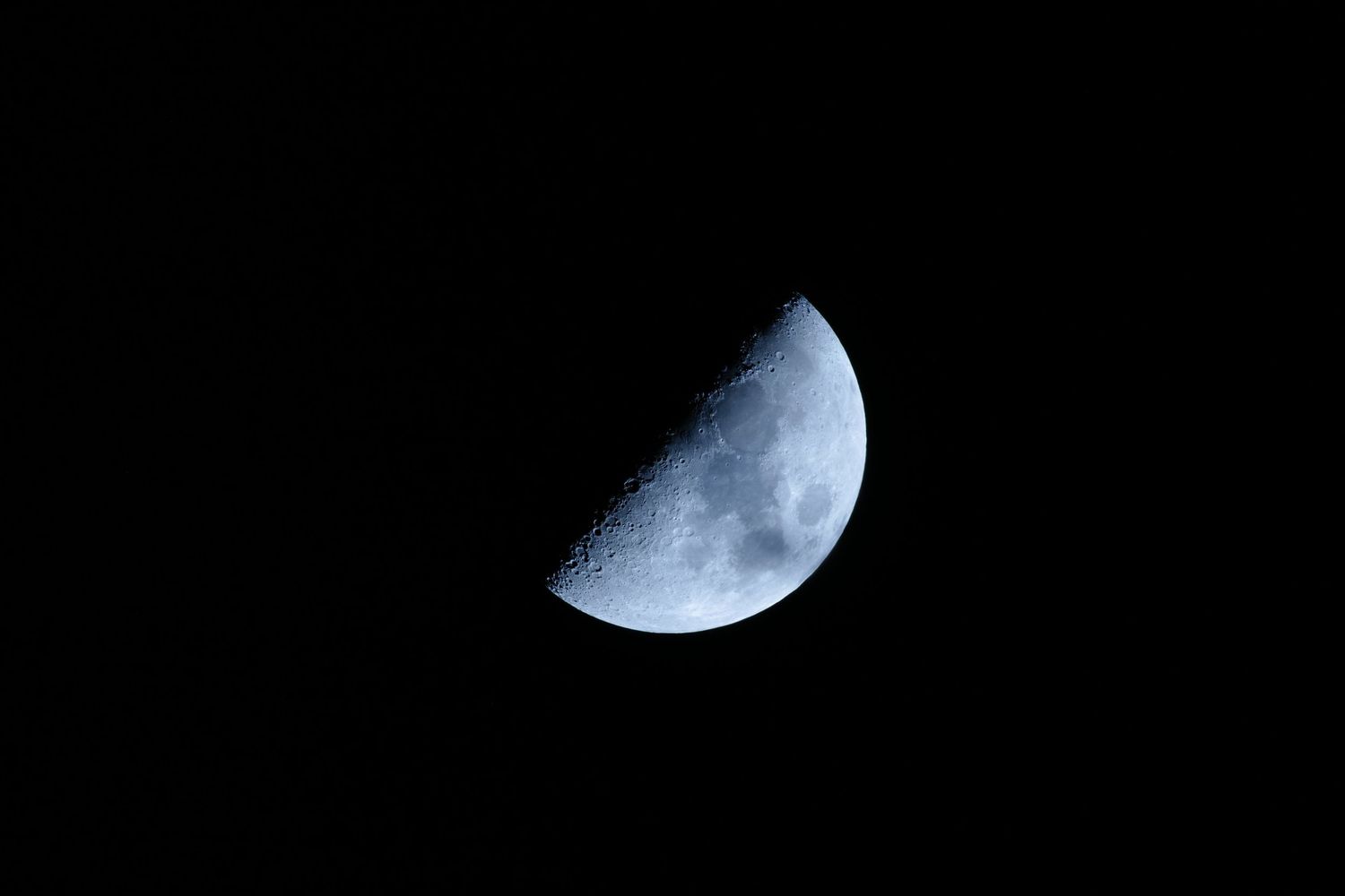 Half moon glows brightly against black night sky.