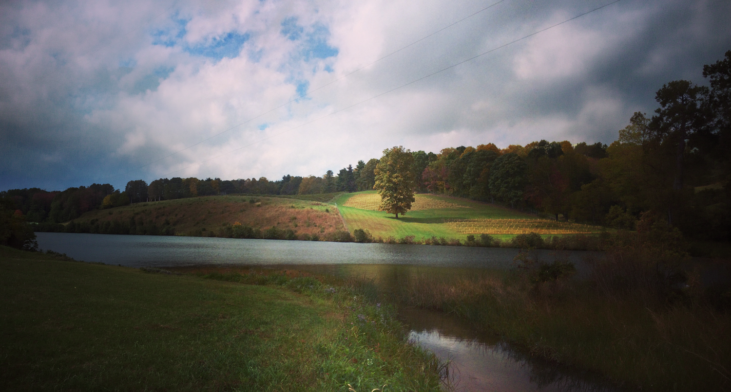 Scenic countryside landscape with a calm lake, lush green hills, trees, and dramatic cloudy sky on an overcast day.