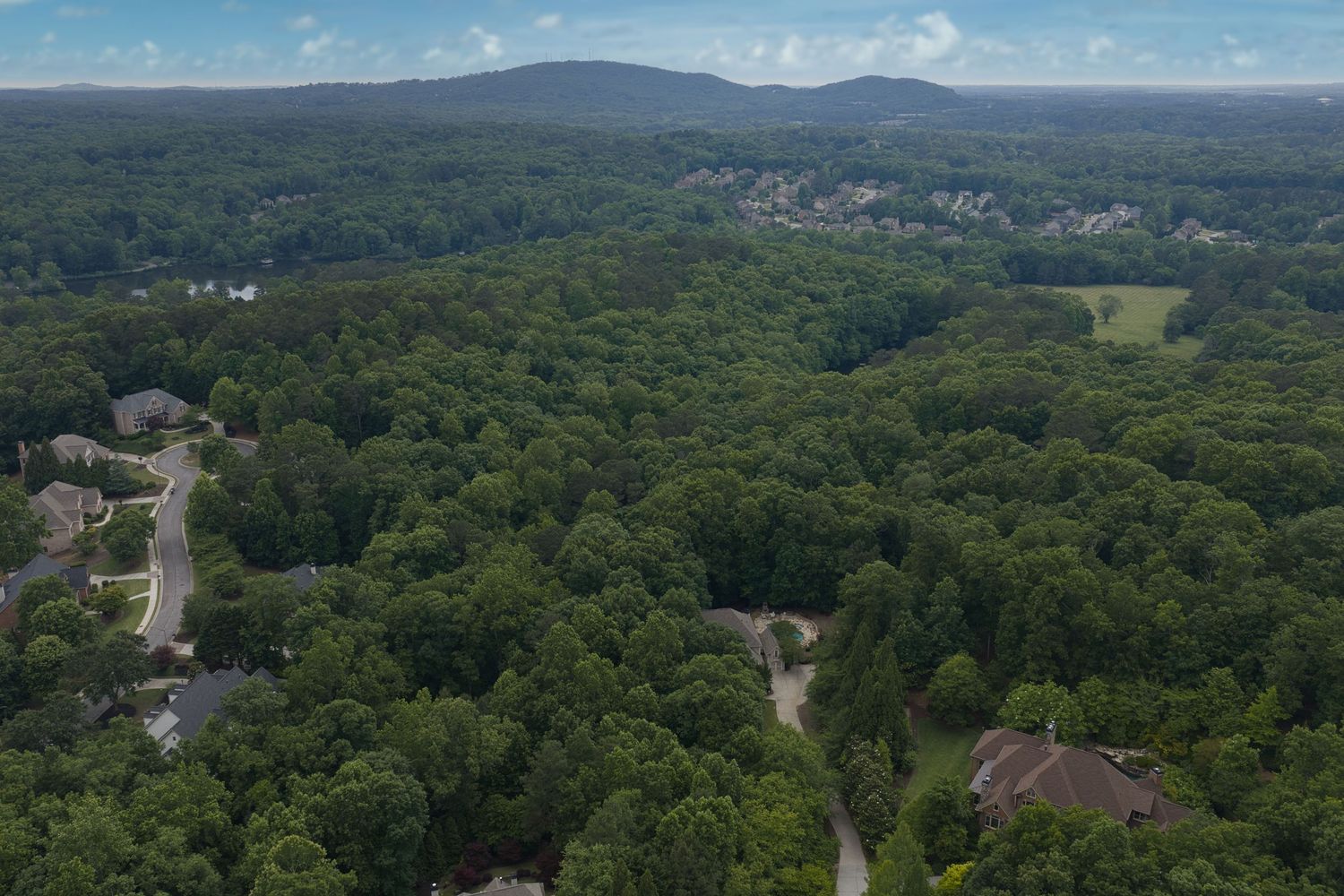 Aerial view of a lush green suburban neighborhood surrounded by dense forest with a mountain in the background.