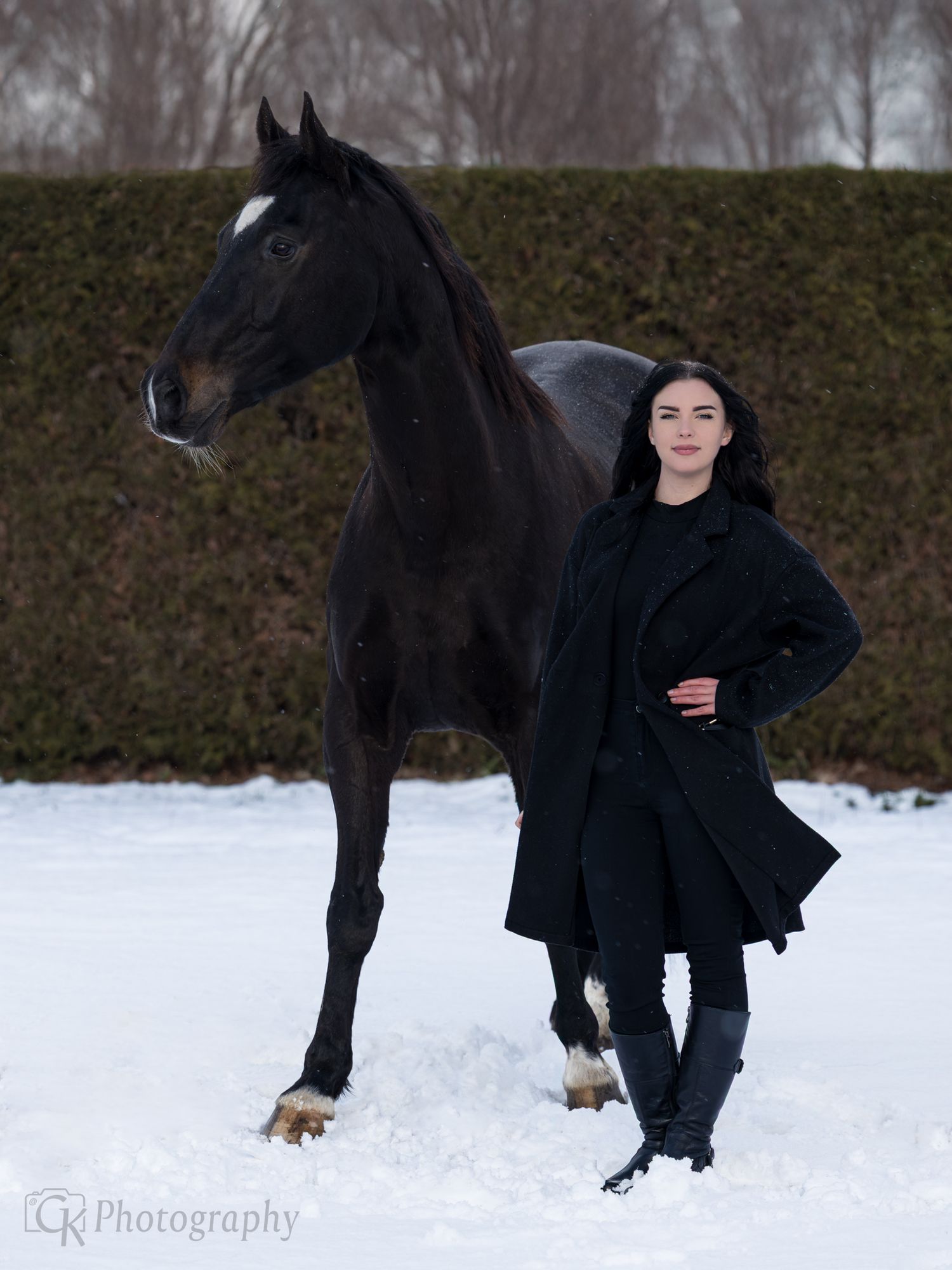 Horses, Photography