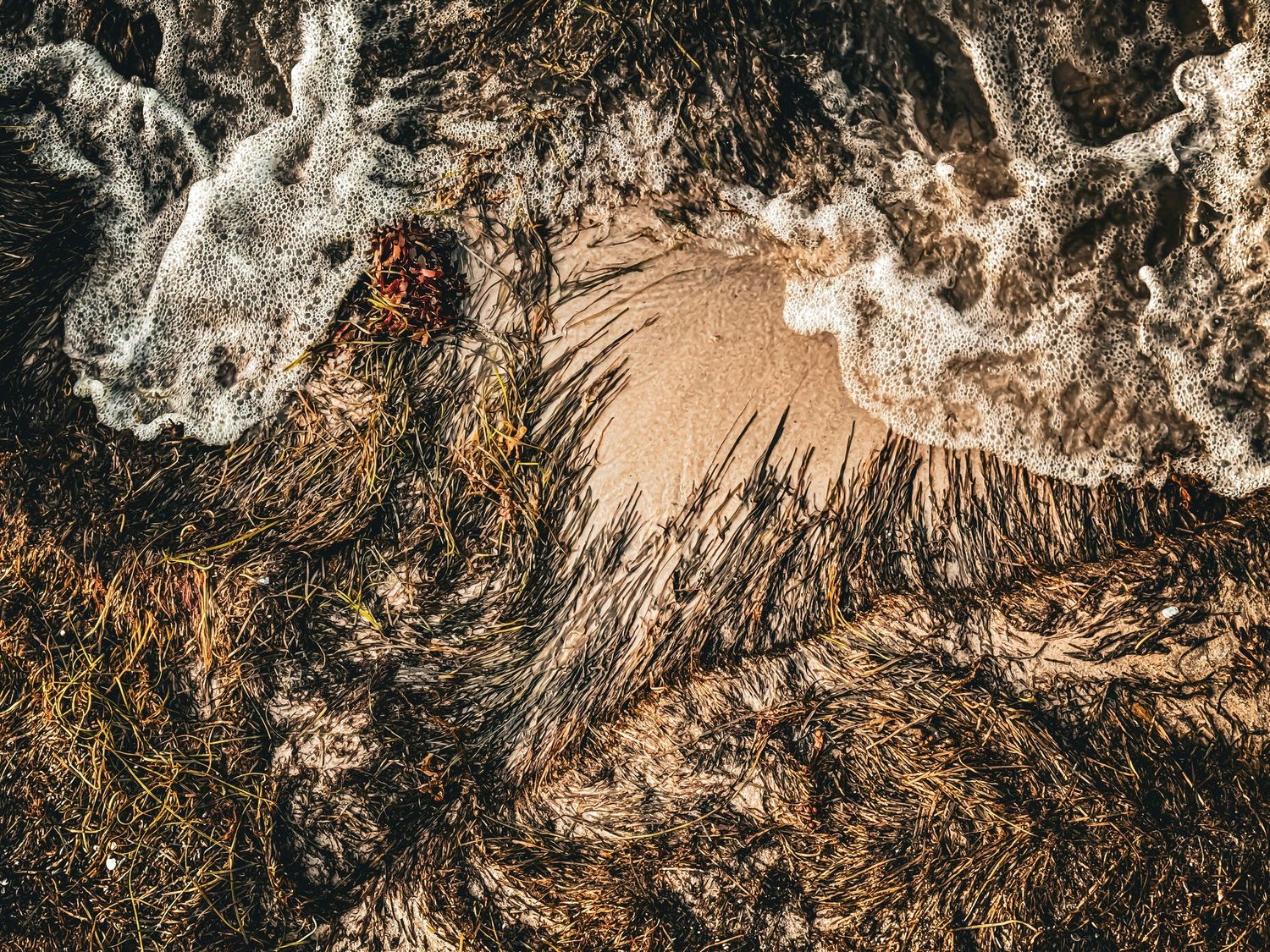 Fotokonst ArtbyRankell natur slowliving kämpingemotiv strandfoto tavlor photoart