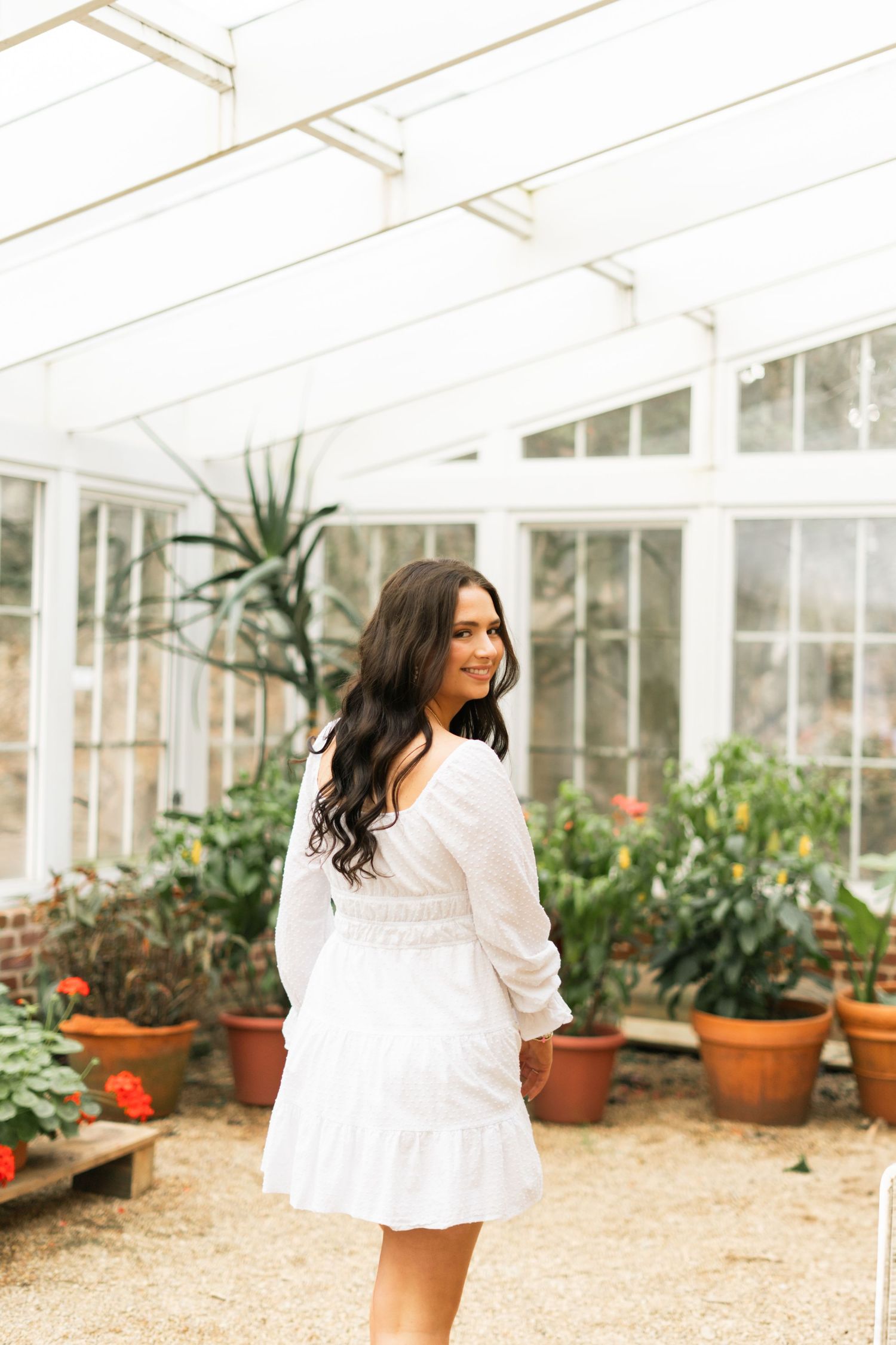 White greenhouse interior with potted plants and soft natural lighting.