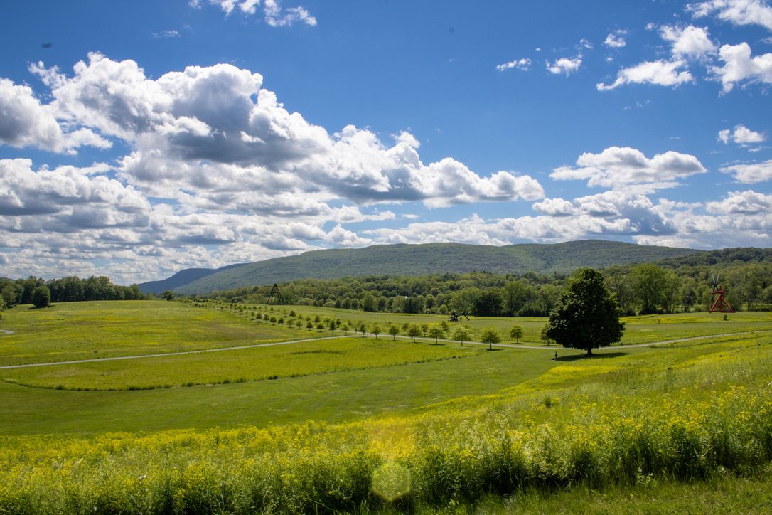 A panoramic view of rolling green hills and meadows under puffy white clouds on a sunny day.