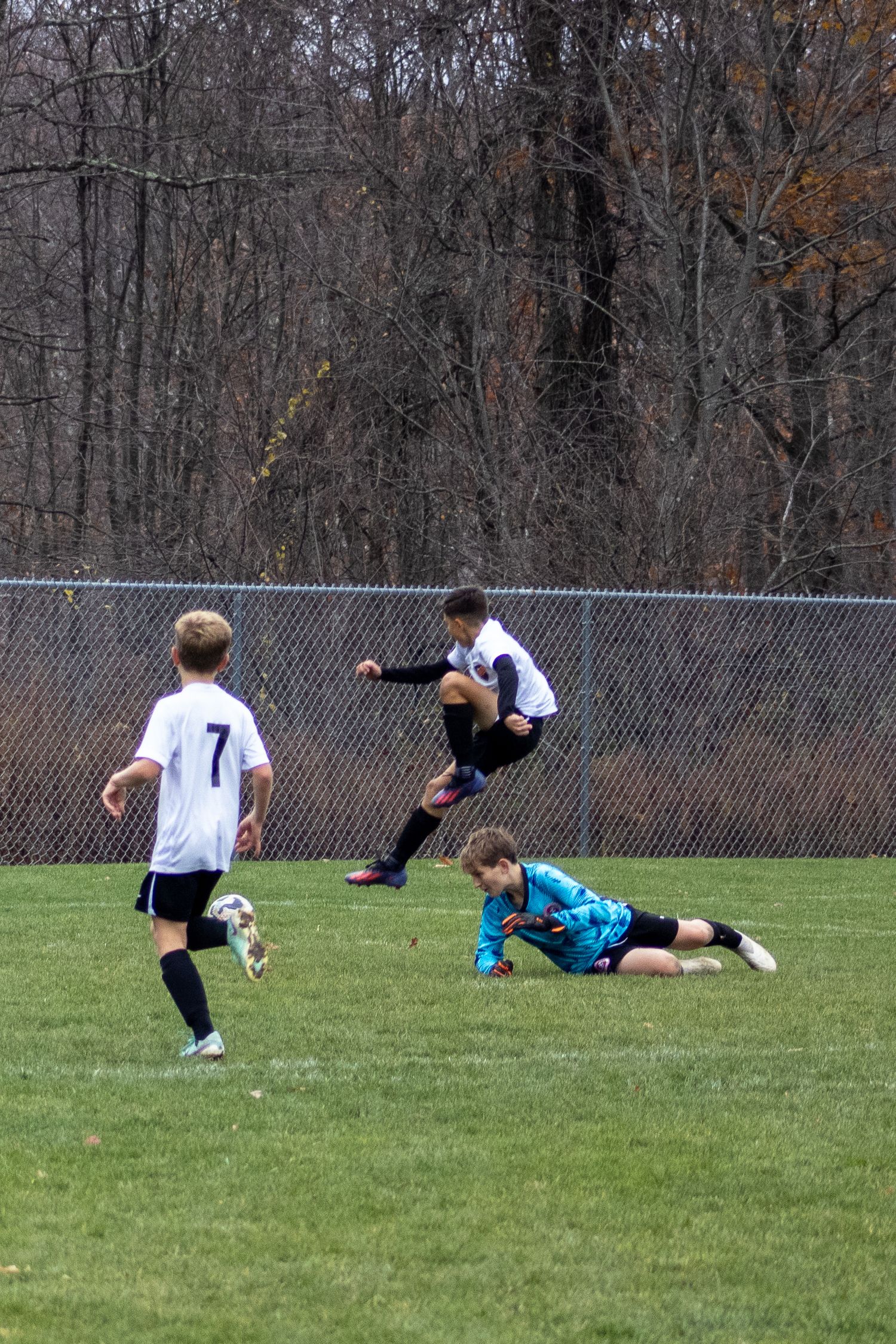 Soccer players diving and making saves during an outdoor match on grass field.