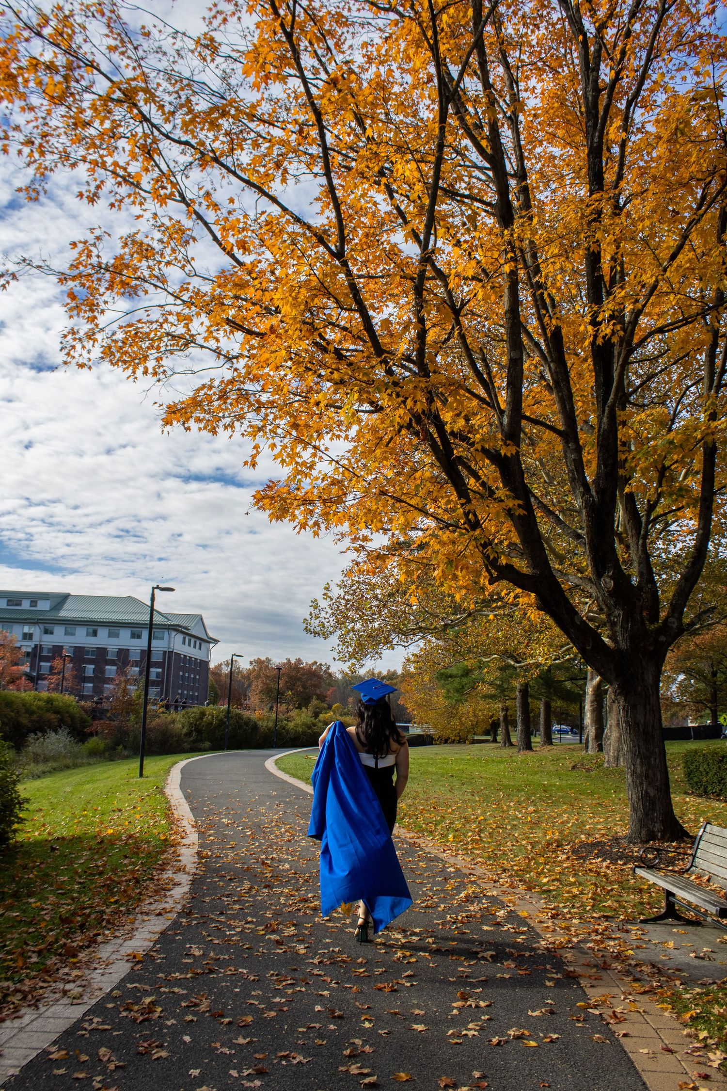 Blue-robed graduate walks along autumn path with golden trees and fallen leaves.
