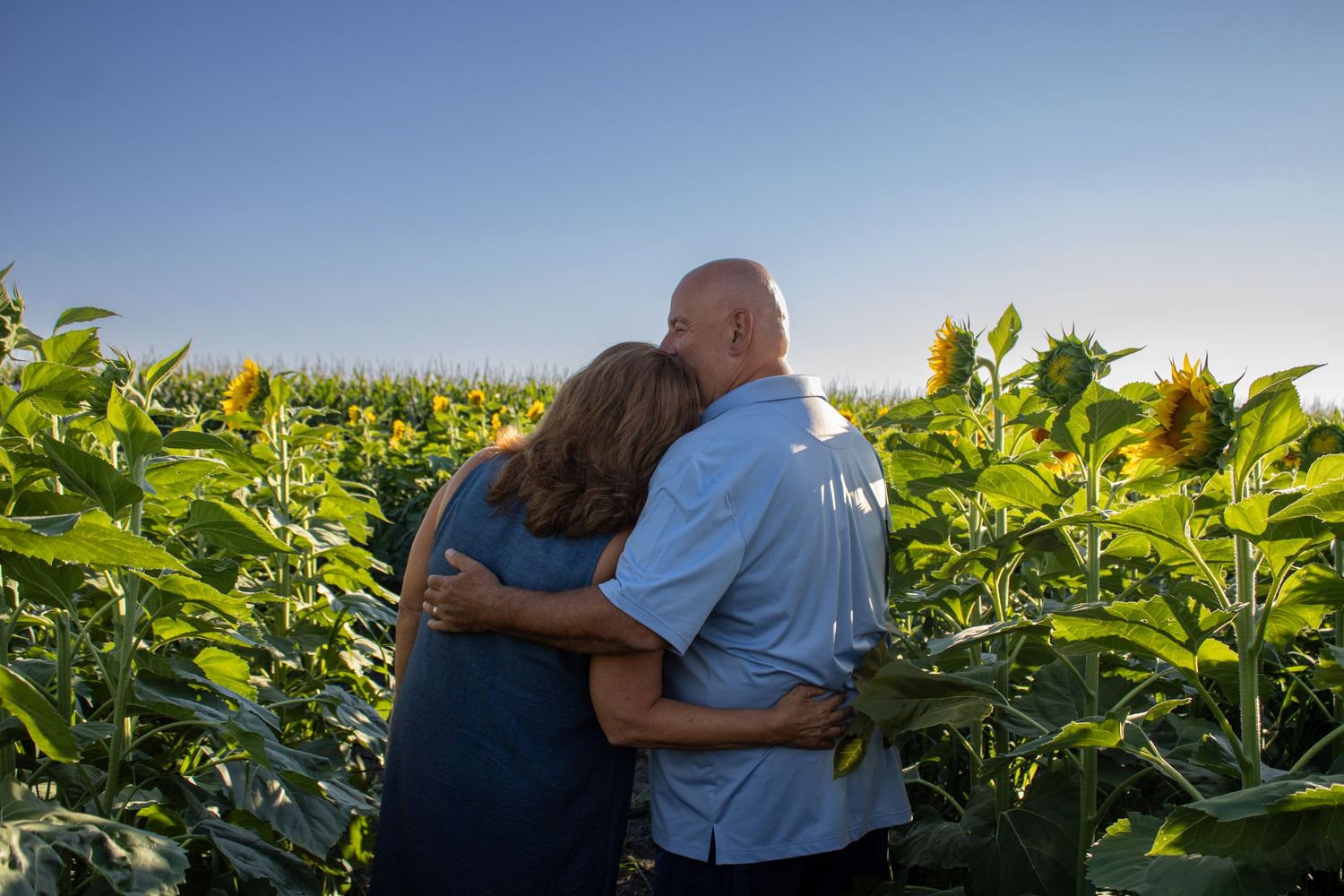 A couple embraces while standing in a vast field of sunflowers at sunset.