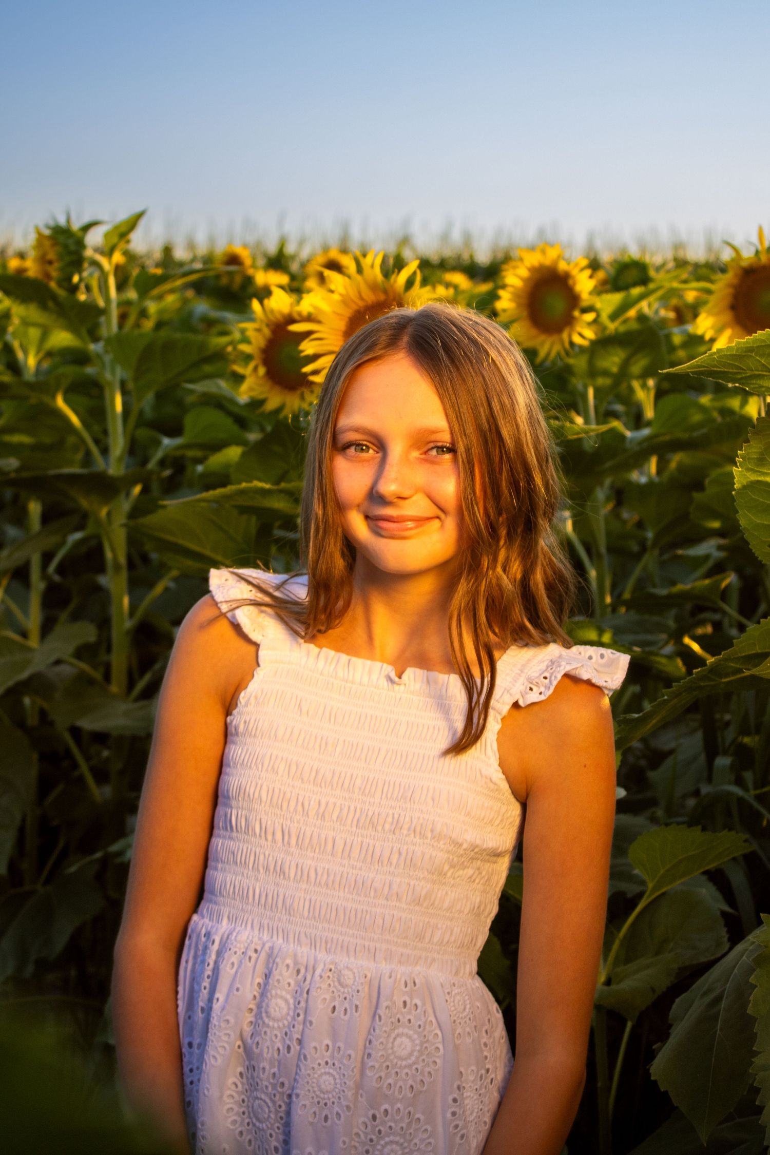 A person in a white dress poses among tall sunflowers during golden hour.