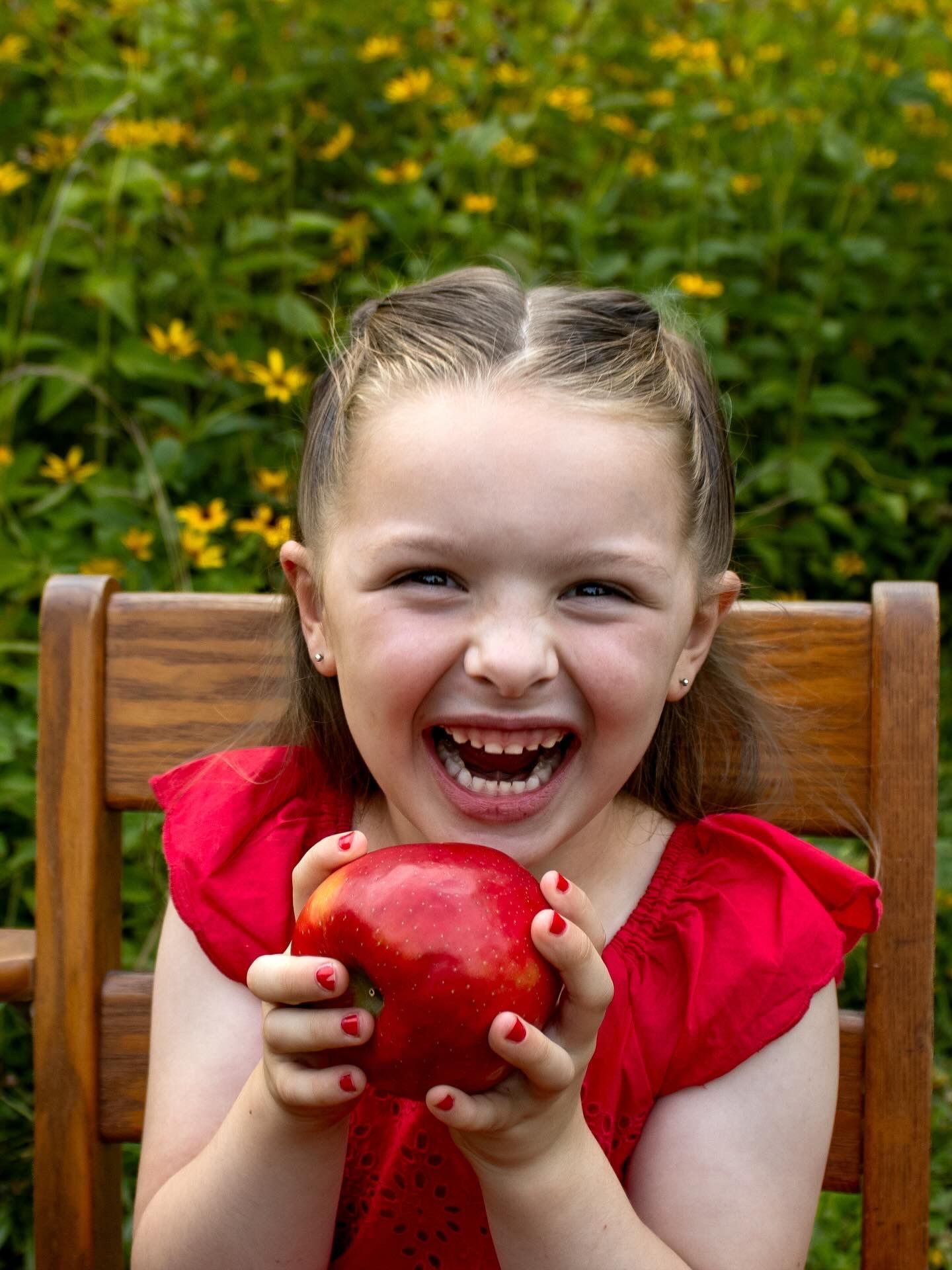 Back to school portrait with bright red apple against garden of yellow flowers.