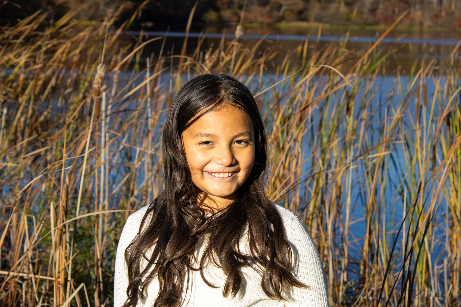 Autumn lakeside scene with tall grass and natural lighting.