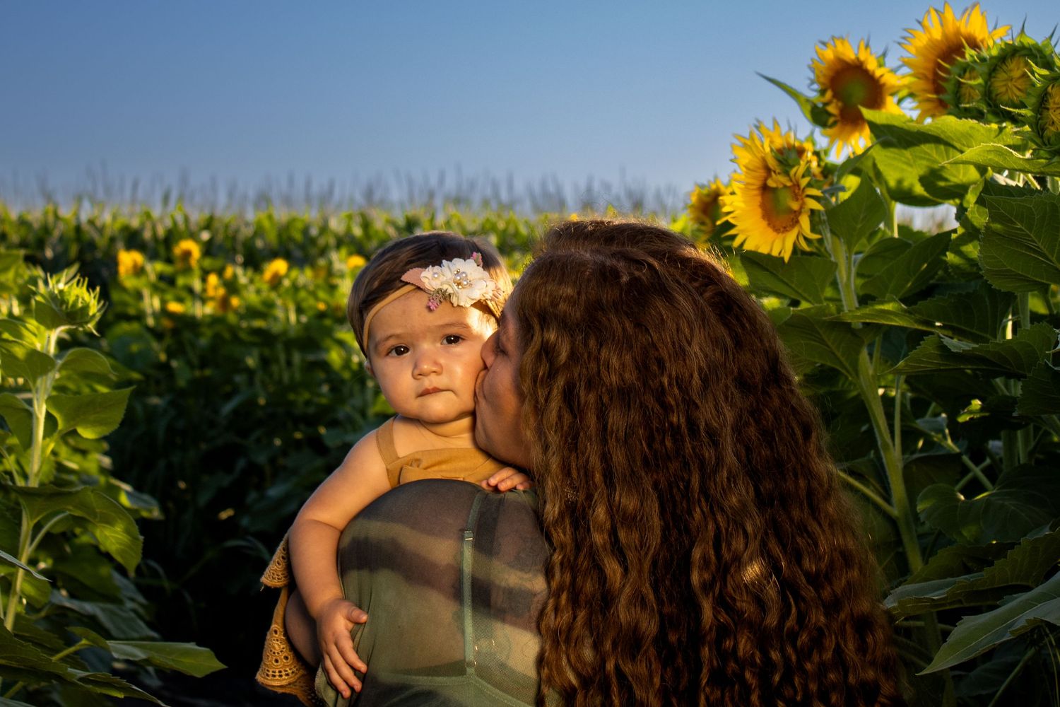 A tender moment captured between parent and child in a sunflower field at sunset.