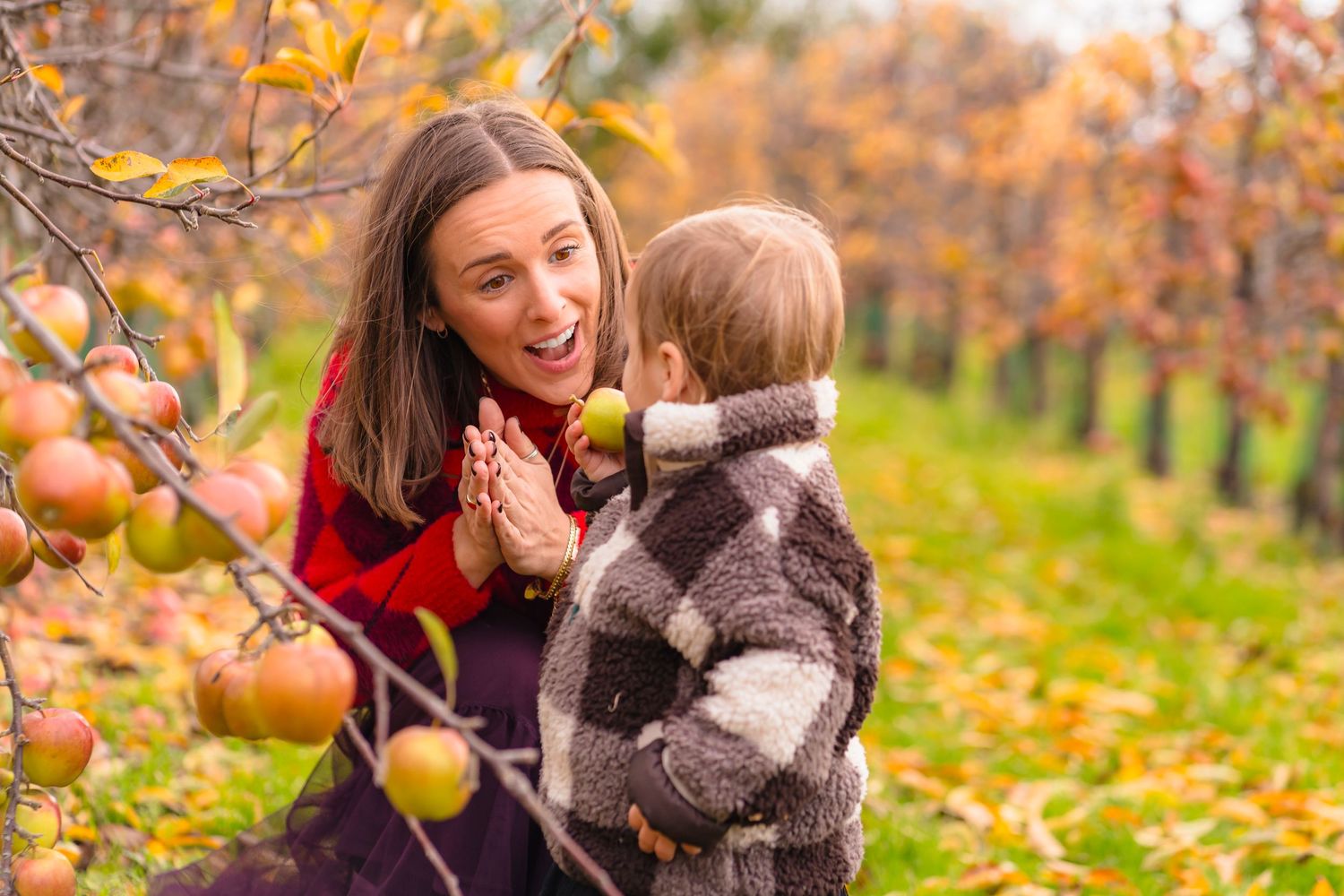 mother and daughter picking apples in the orchard.
