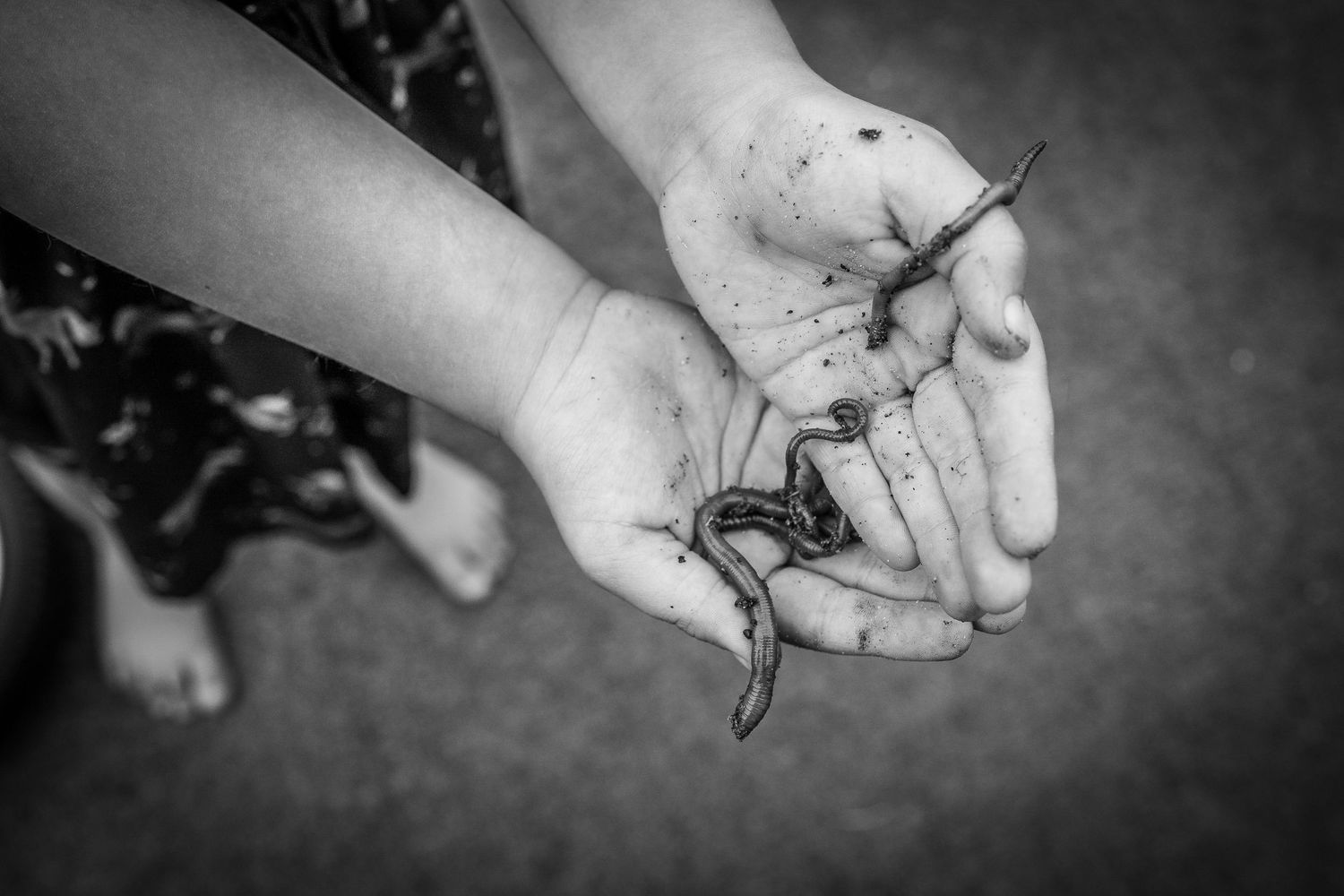 A b&w image of a child holding a handful of worms, documentary and capturing childhood at its best, with shorely a memory, Margate.