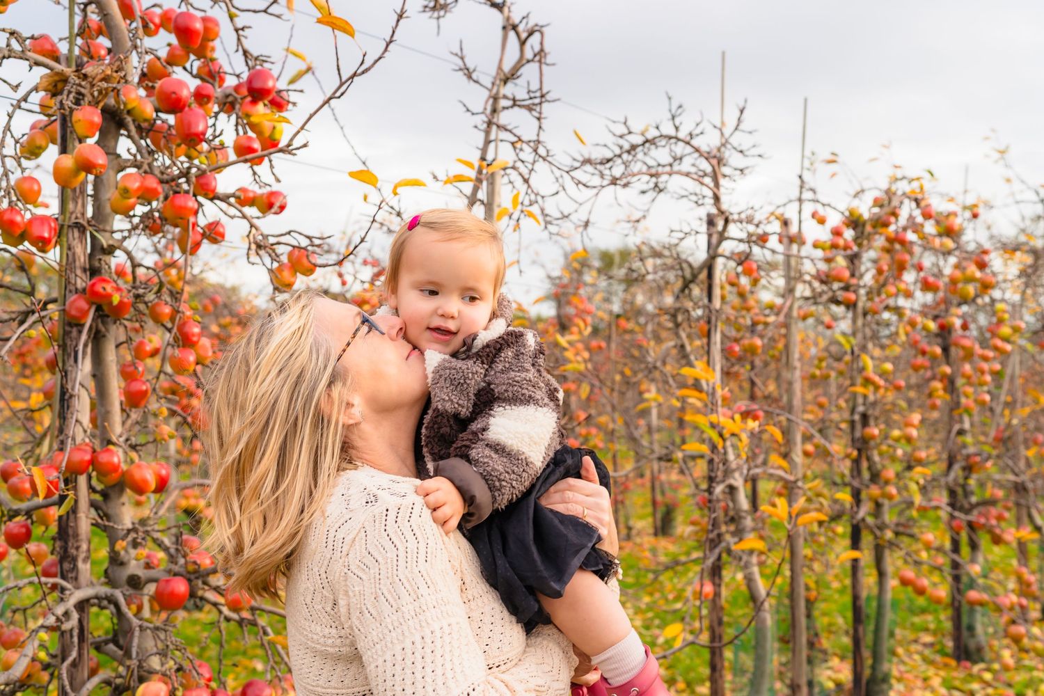 Grandmother and granddaughter picking apples in the orchard.
