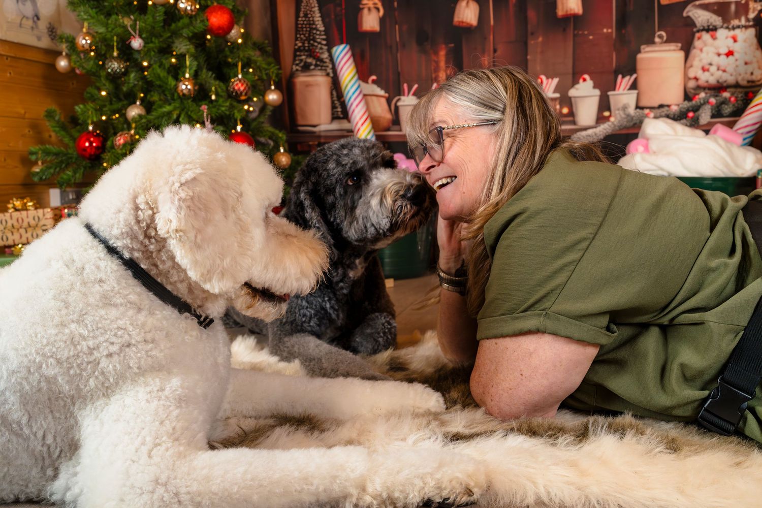 Two Dogs and their loving owner having a quiet moment during their Christmas photo session with shorely a memory Margate Kent.