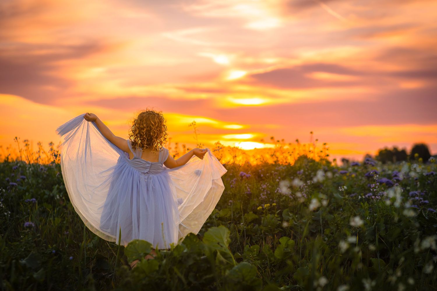 A girl with curly hair dancing in a blue dress in a field of flowers at sunset, orange and purple sky to light the girl.