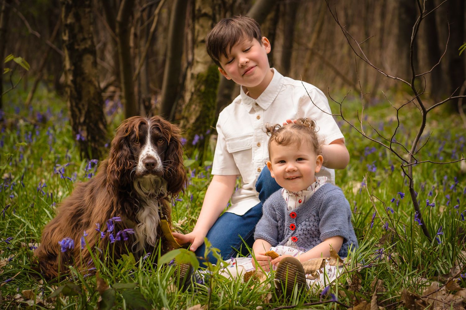 A brother and sister in a bluebell wood area in Ashford, Kent, with their brown spaniel sitting with them.