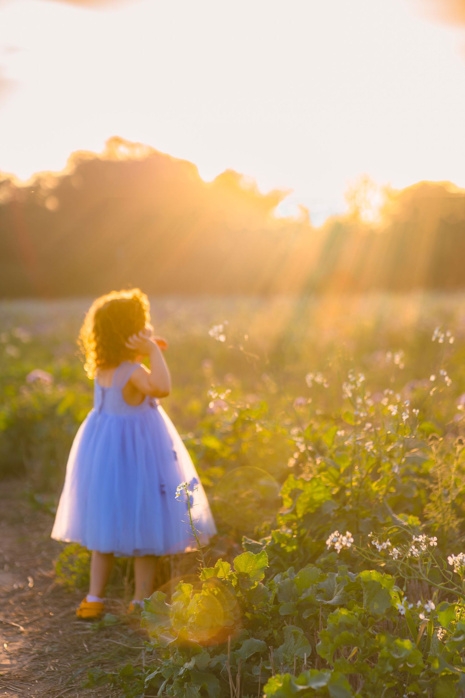 A dreamy field scene with sunlit lens flare and a girl in a blue dress standing in the sun rays looking up, with shorely a memory Margate.