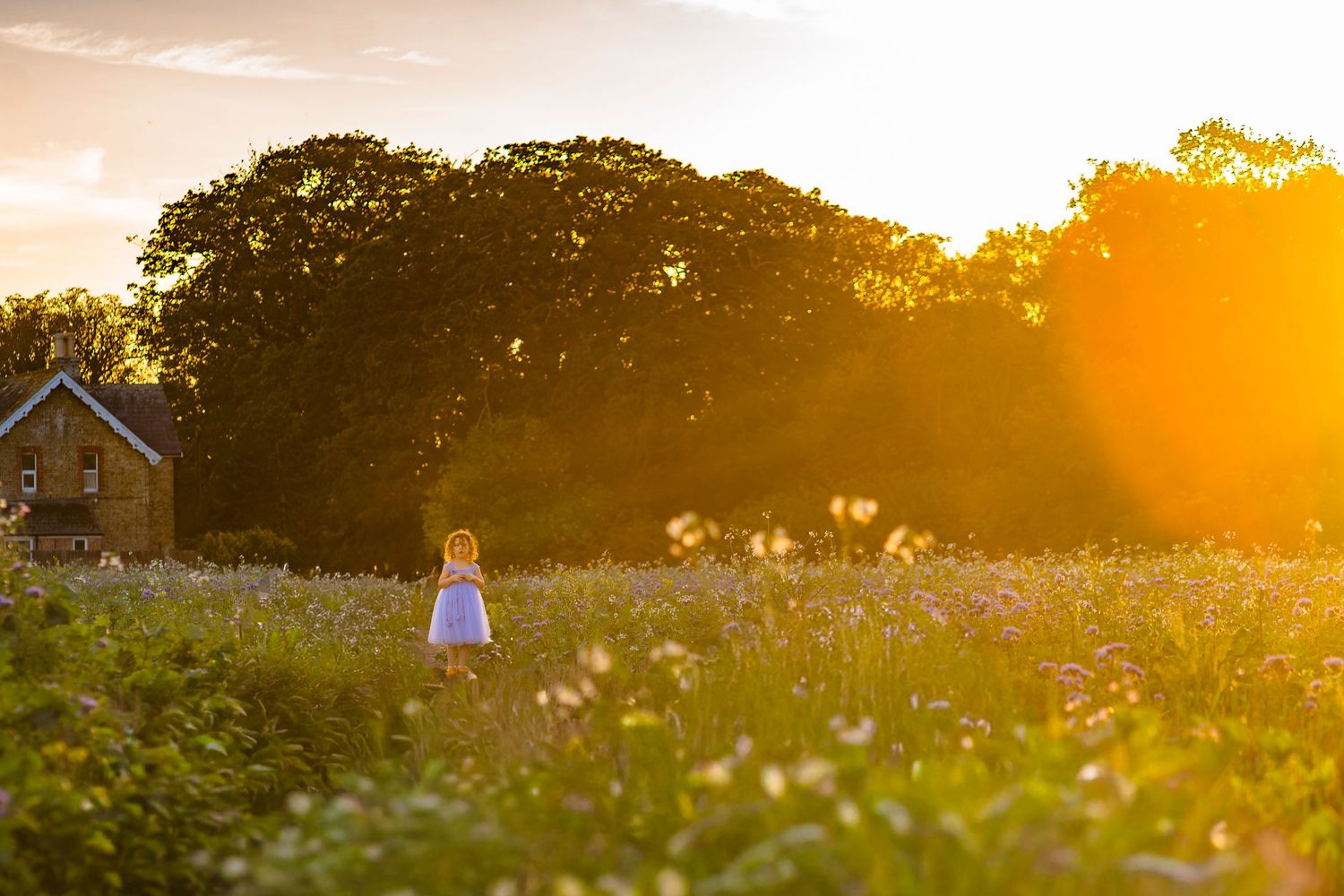A dreamy field scene with sunlit lens flare and a girl in a blue dress standing in the sun rays, with shorely a memory Margate.