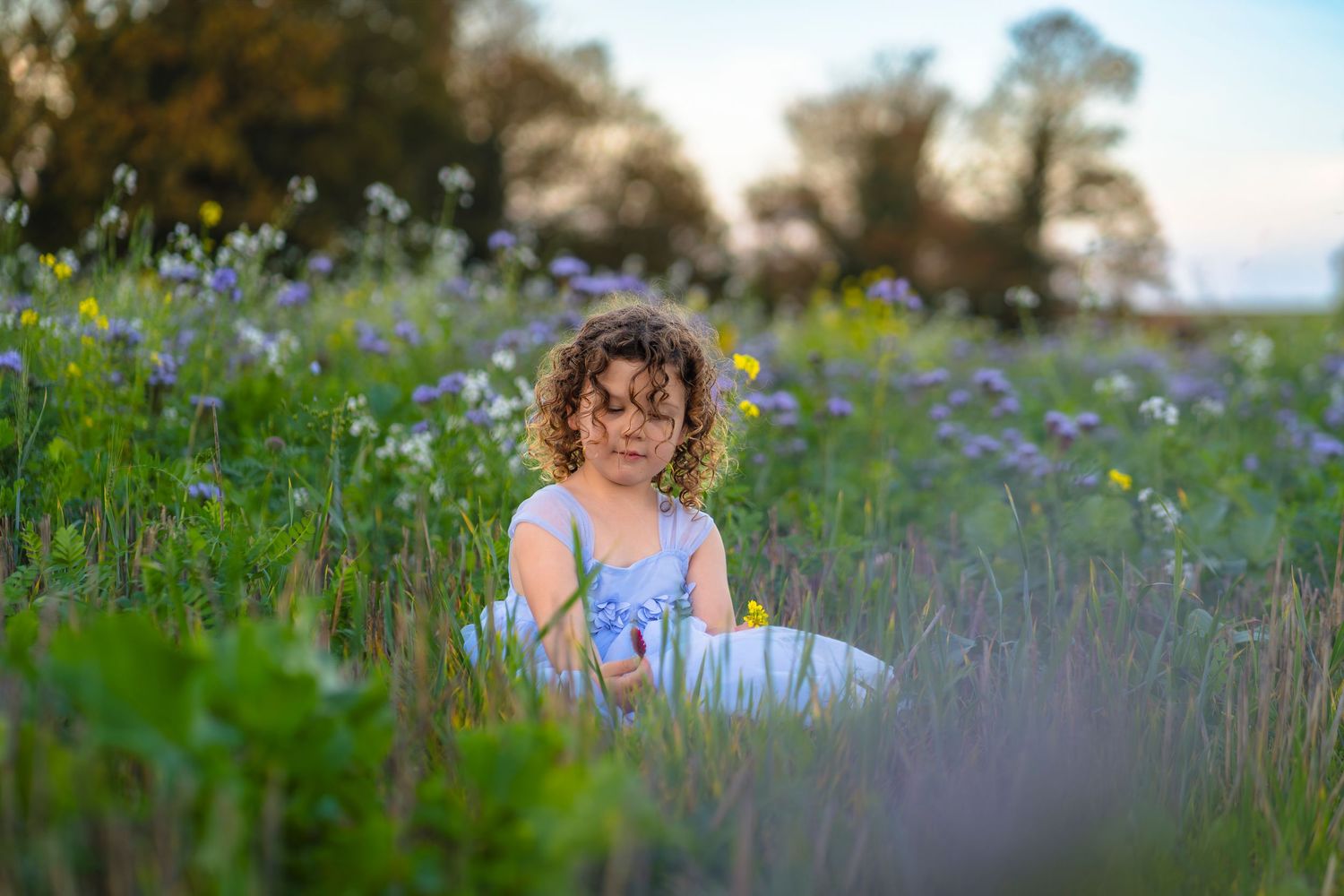 Portrait of a curly haired girl sitting in a flower field. Photo session with Shorely a Memory in Margate, Kent.