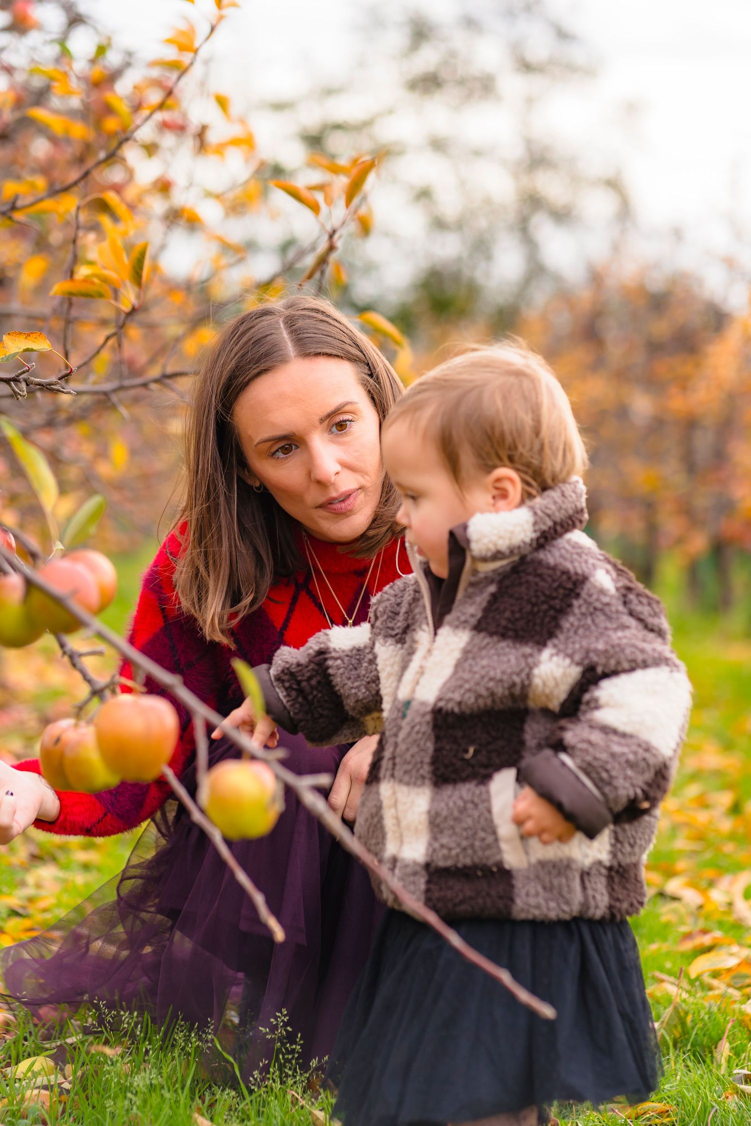 mother and daughter picking apples in the orchard.