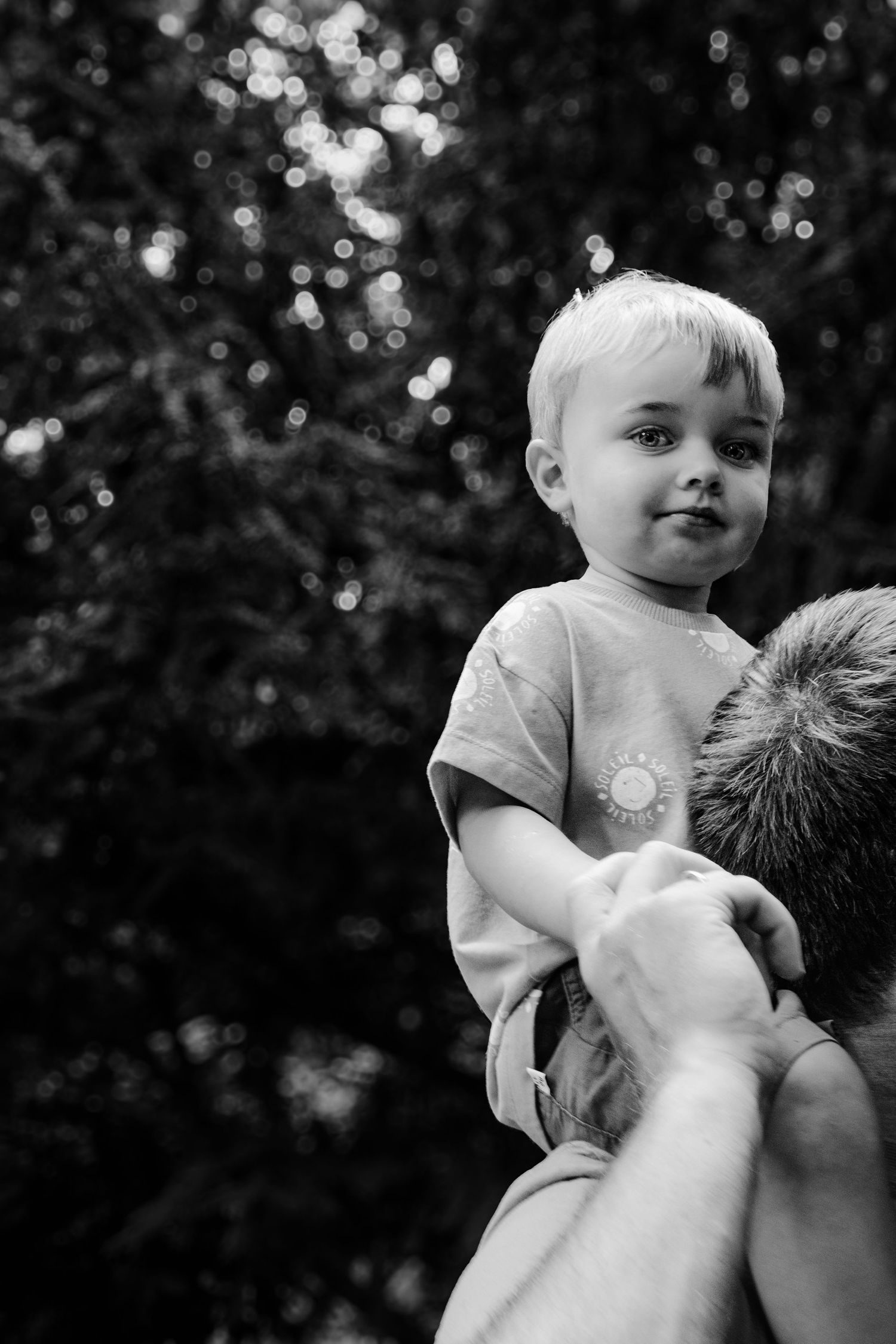 Family photography session in Surrey countryside – joyful candid family moment captured at sunset