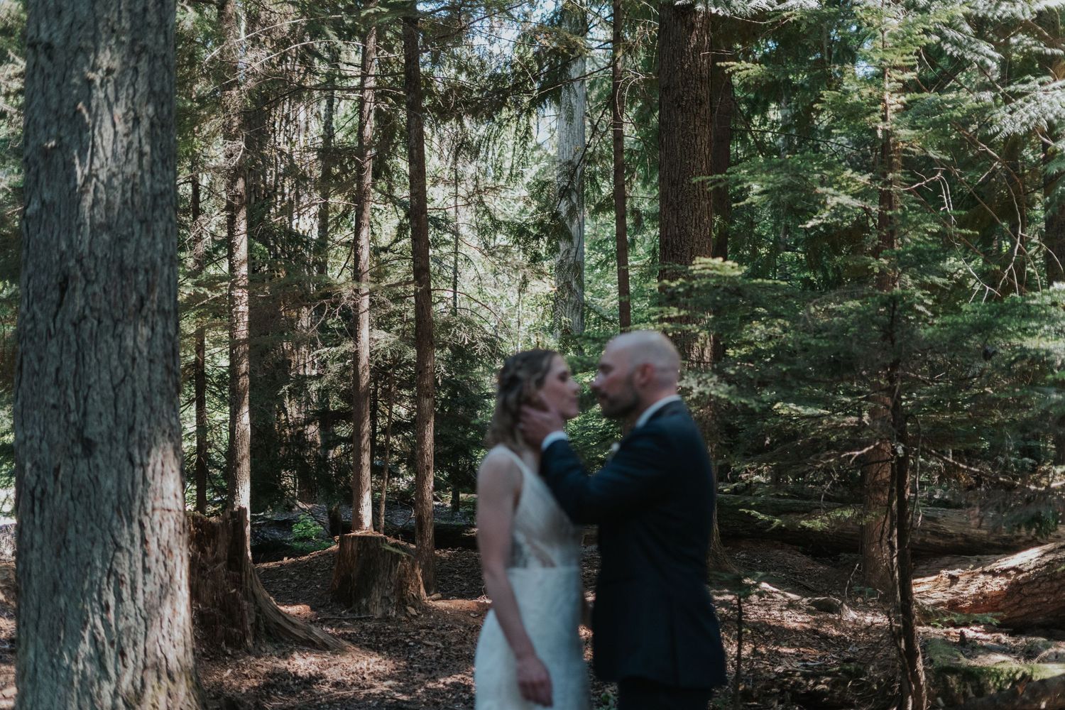 fairy tale whistler forest wedding photography