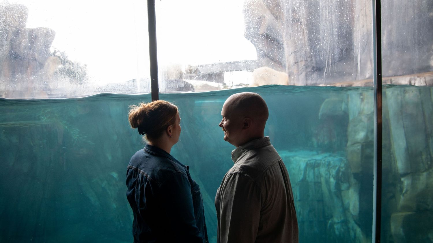 Two figures silhouetted against an aquarium window creating a dramatic composition.
