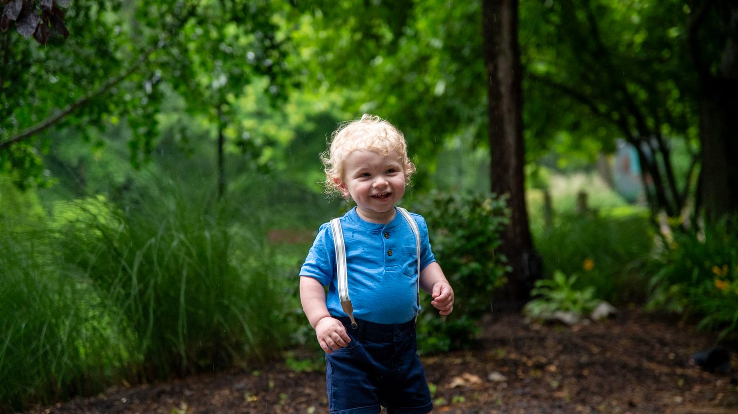 Green garden foliage creates a natural backdrop for an outdoor scene.