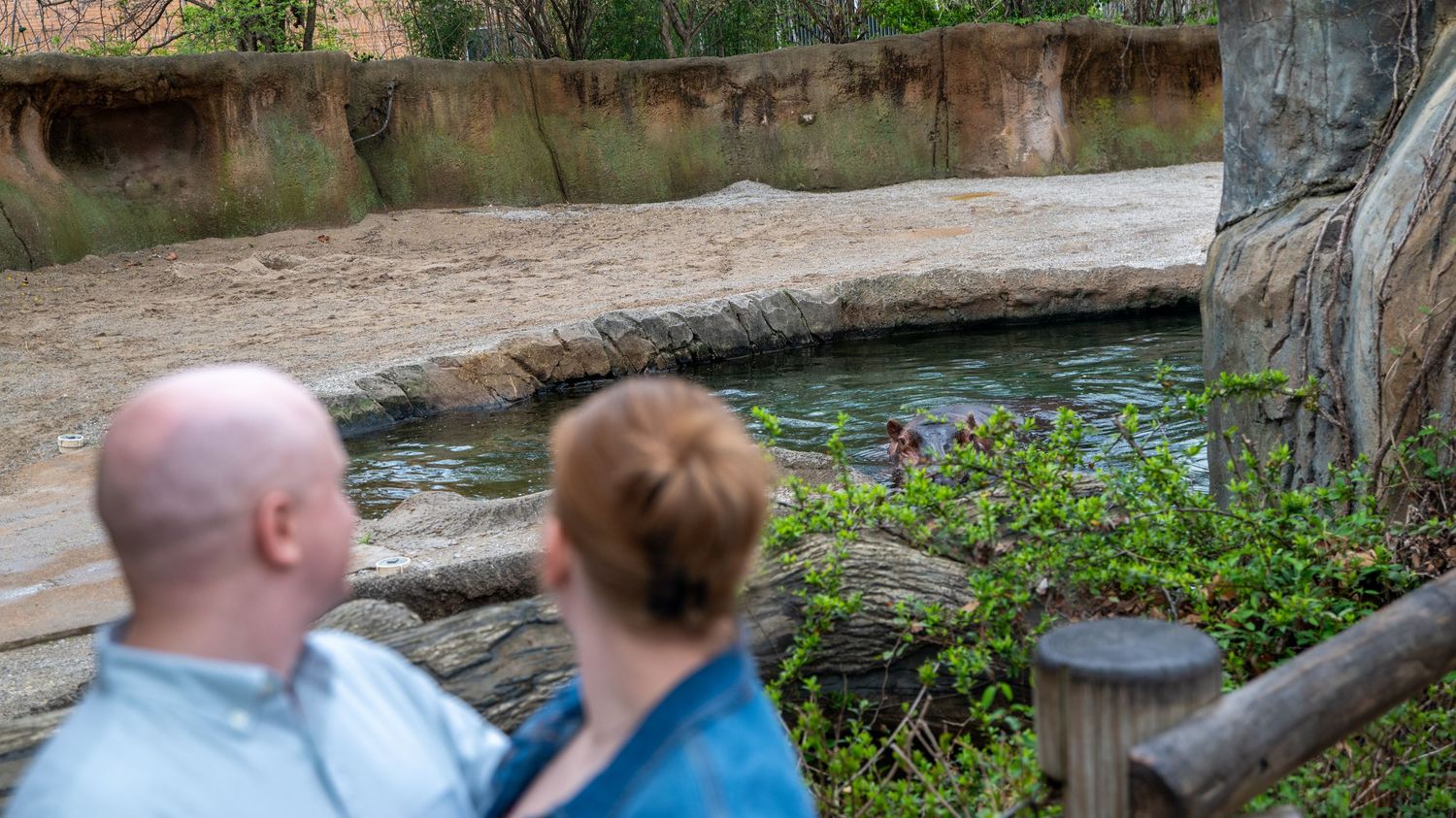 Two people looking out over a pond with greenery in a peaceful outdoor setting.