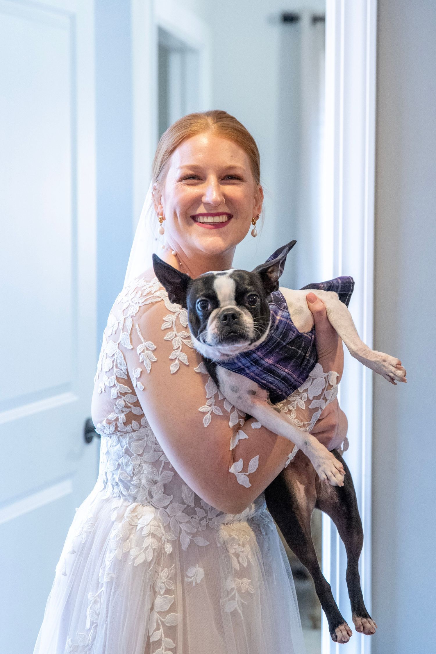 Bride in lace gown holds small Boston Terrier wearing navy bandana.