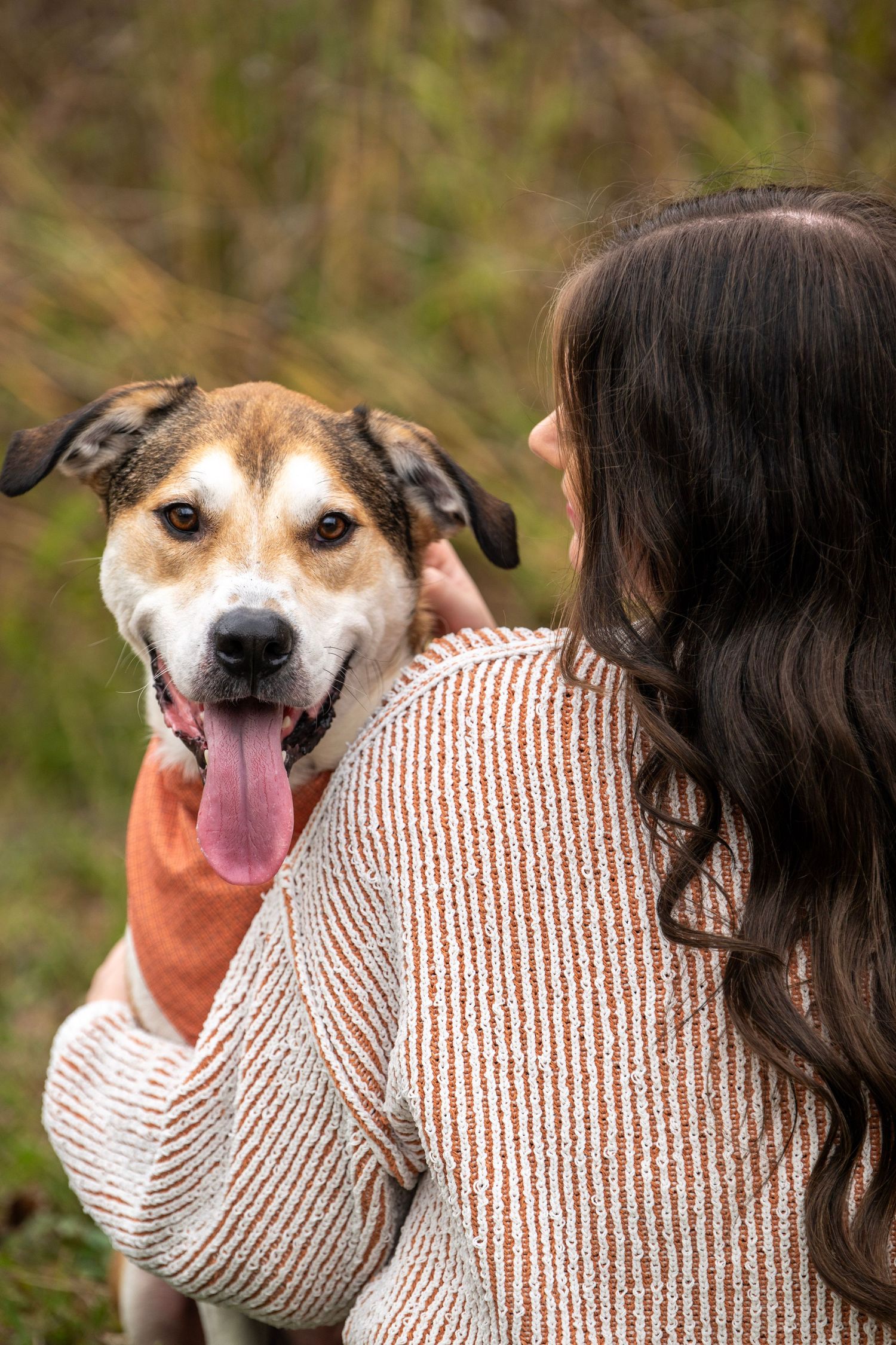 A close-up shows a happy dog with tongue out next to someone in a striped sweater.
