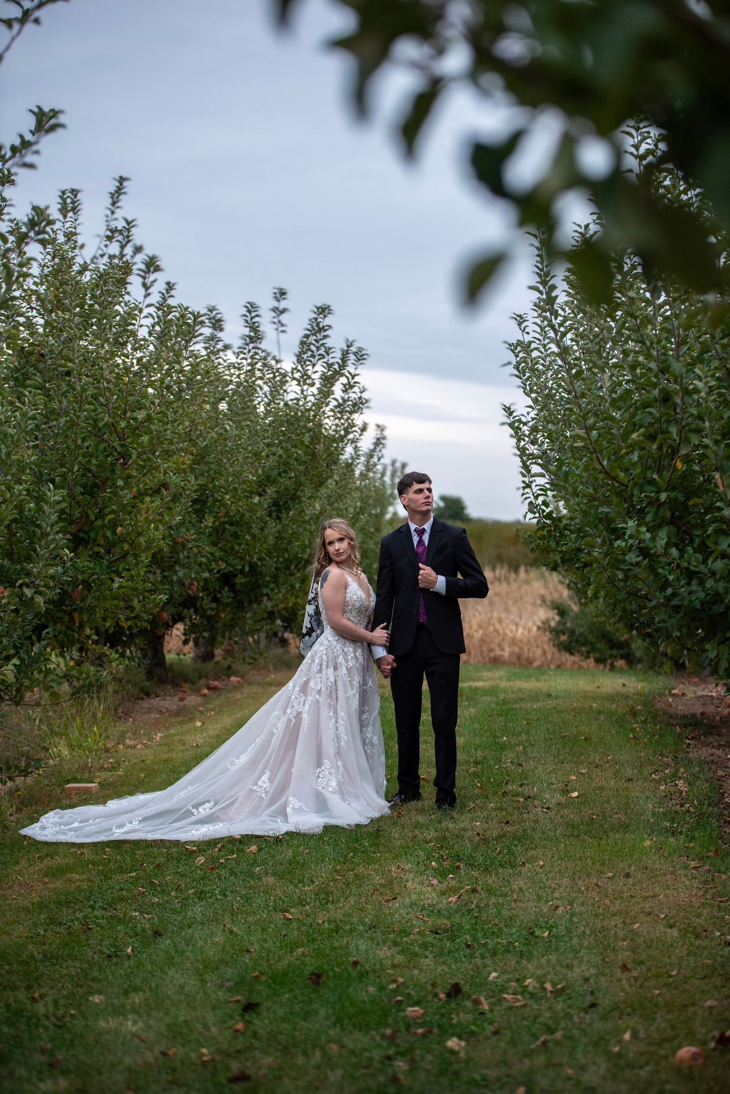 A wedding couple poses for portraits among the rows of an apple orchard.