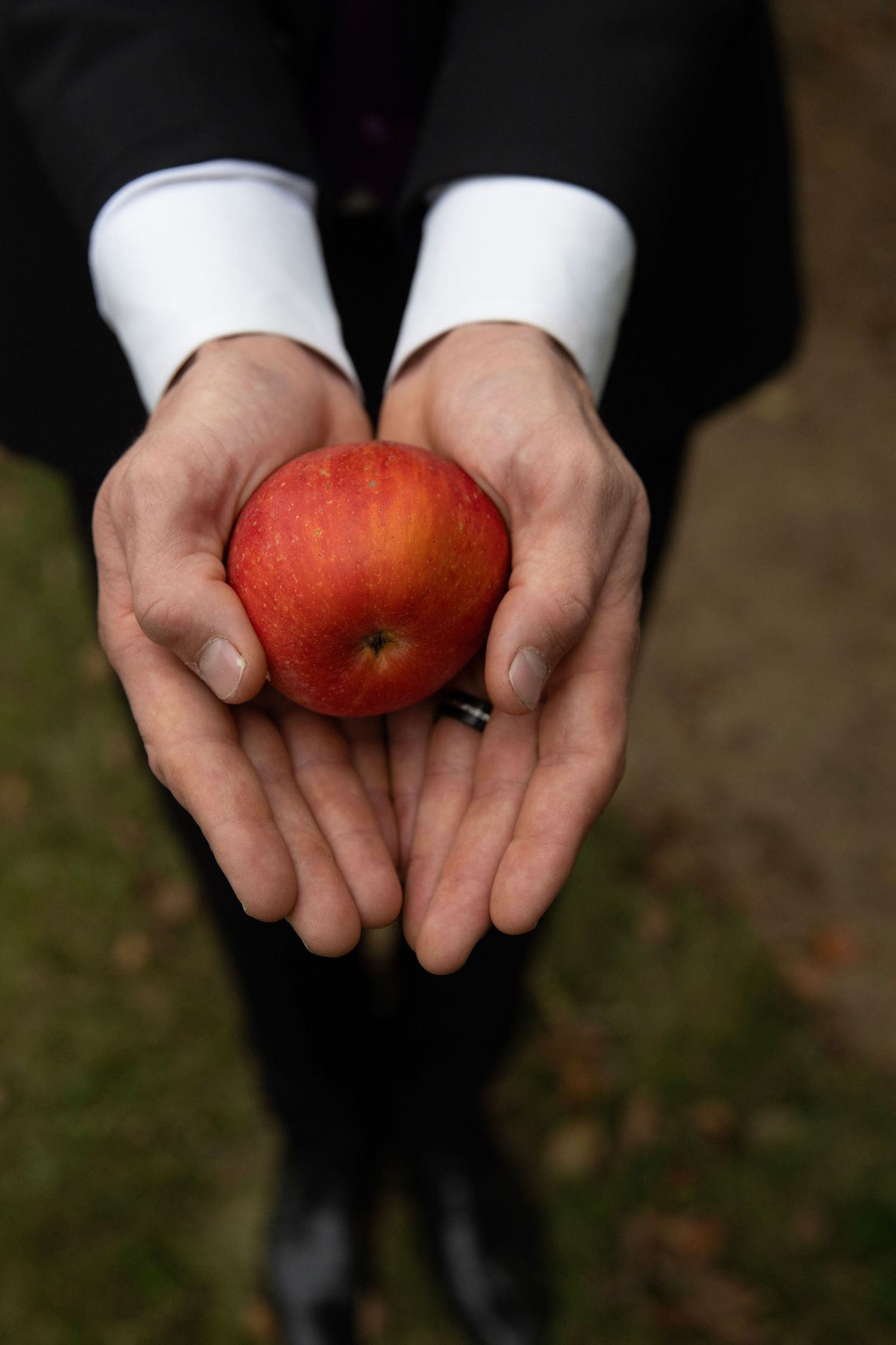 Hands in formal white sleeves hold a red apple in a series of detail shots.