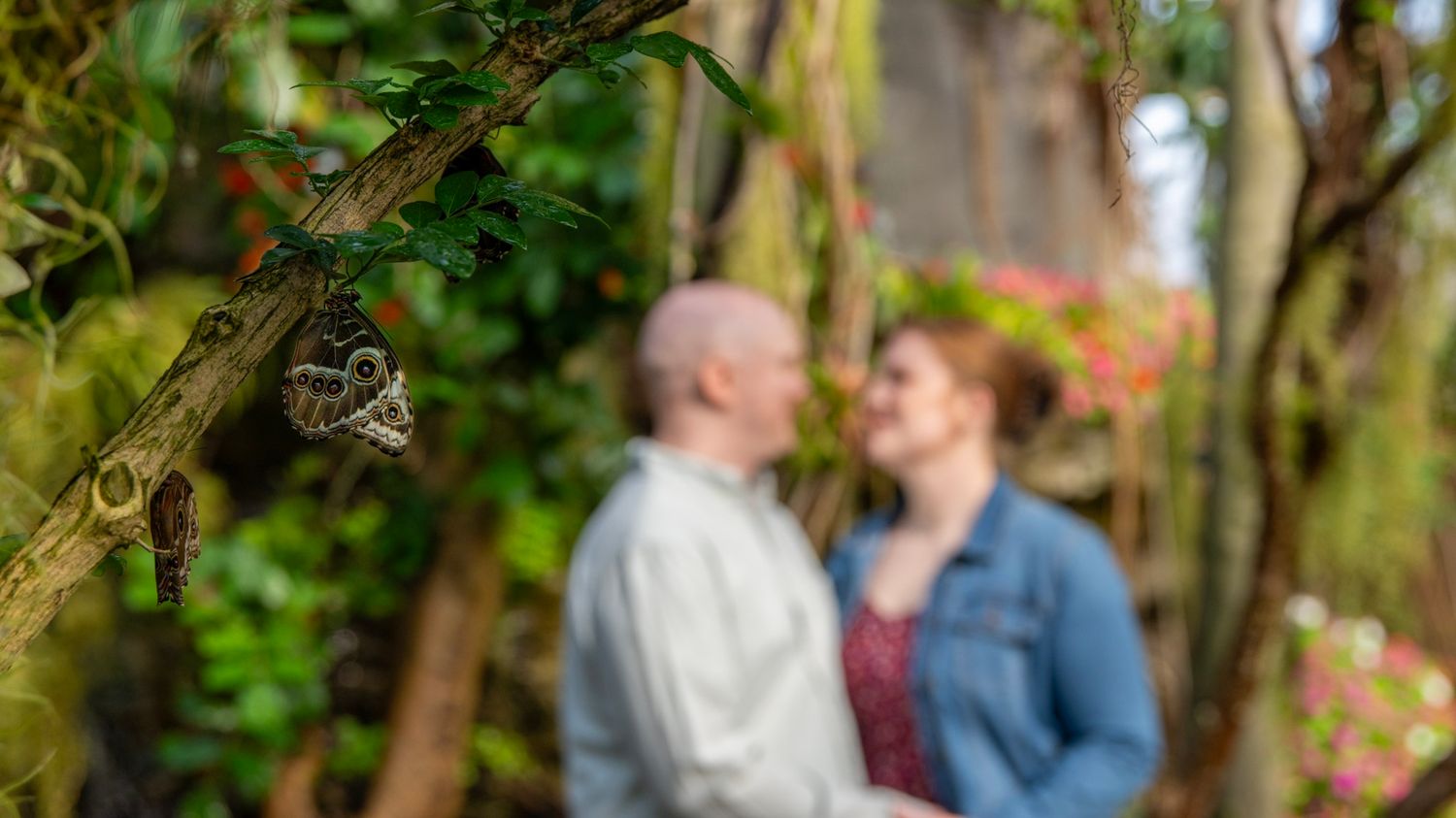 A soft focus portrait of a couple surrounded by flowering garden foliage.