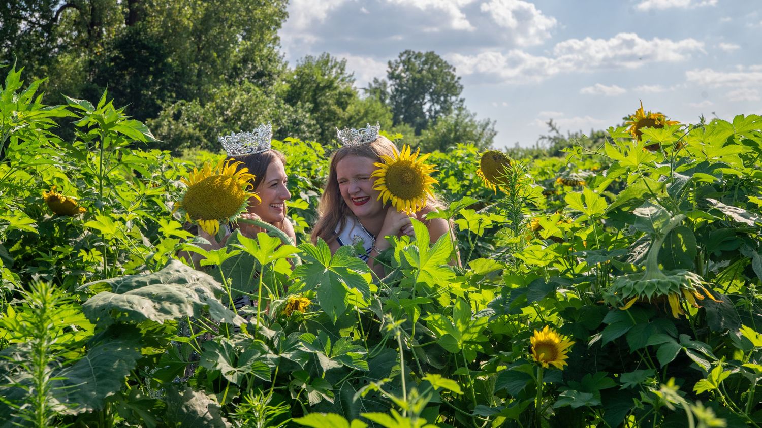 A person poses with bright yellow sunflowers in a blooming summer field.