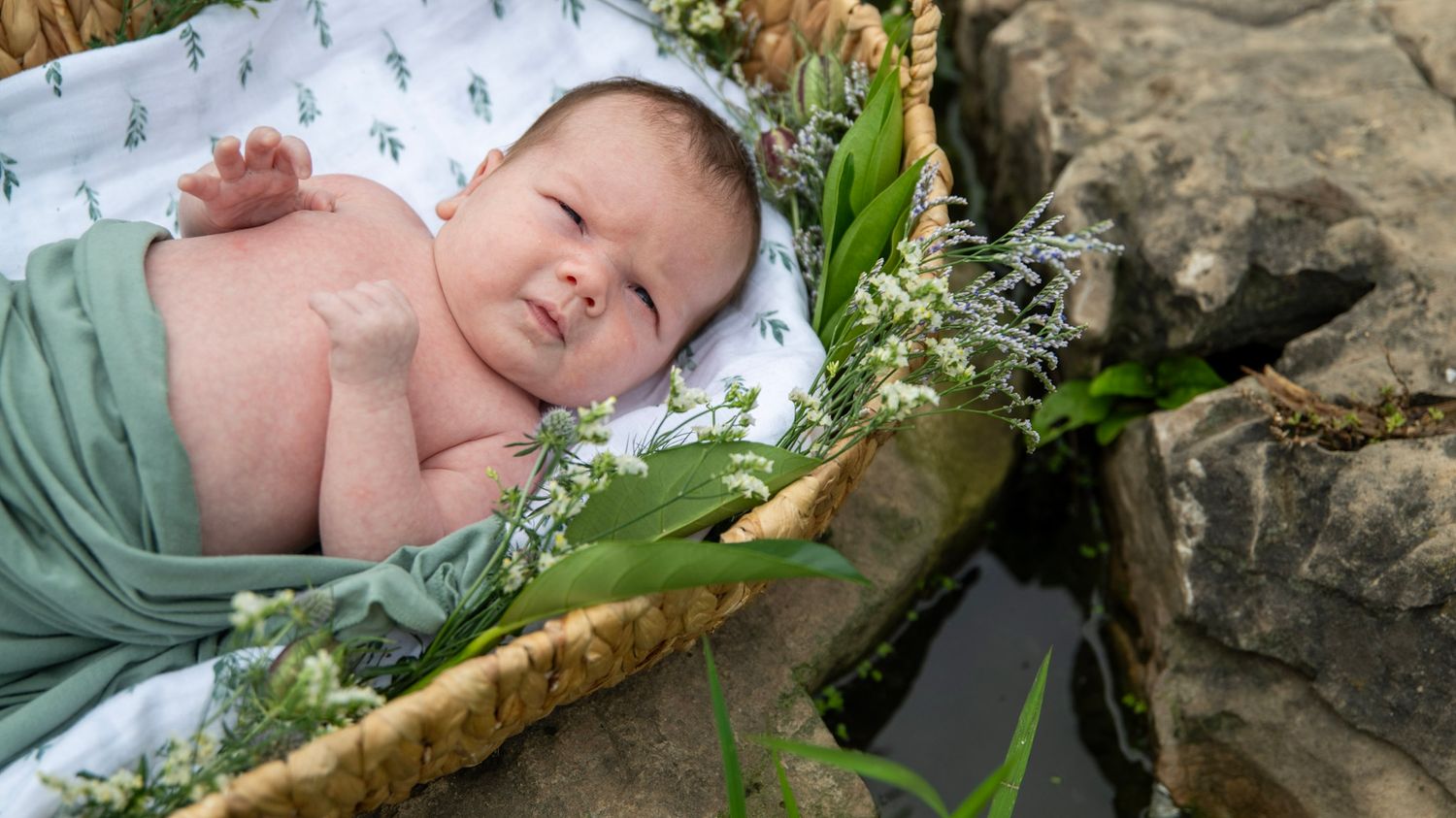 Close-up of a newborn baby resting in a nature-inspired basket setting.