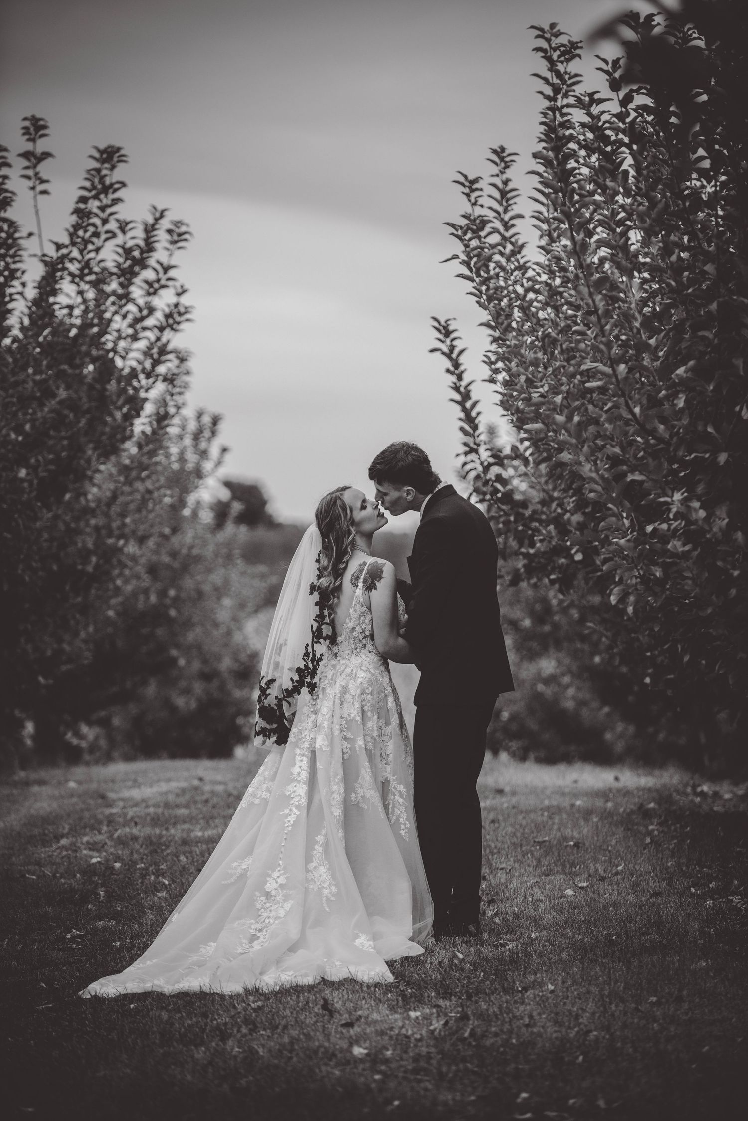 Black and white wedding photography in an orchard showing a couple in an intimate moment.