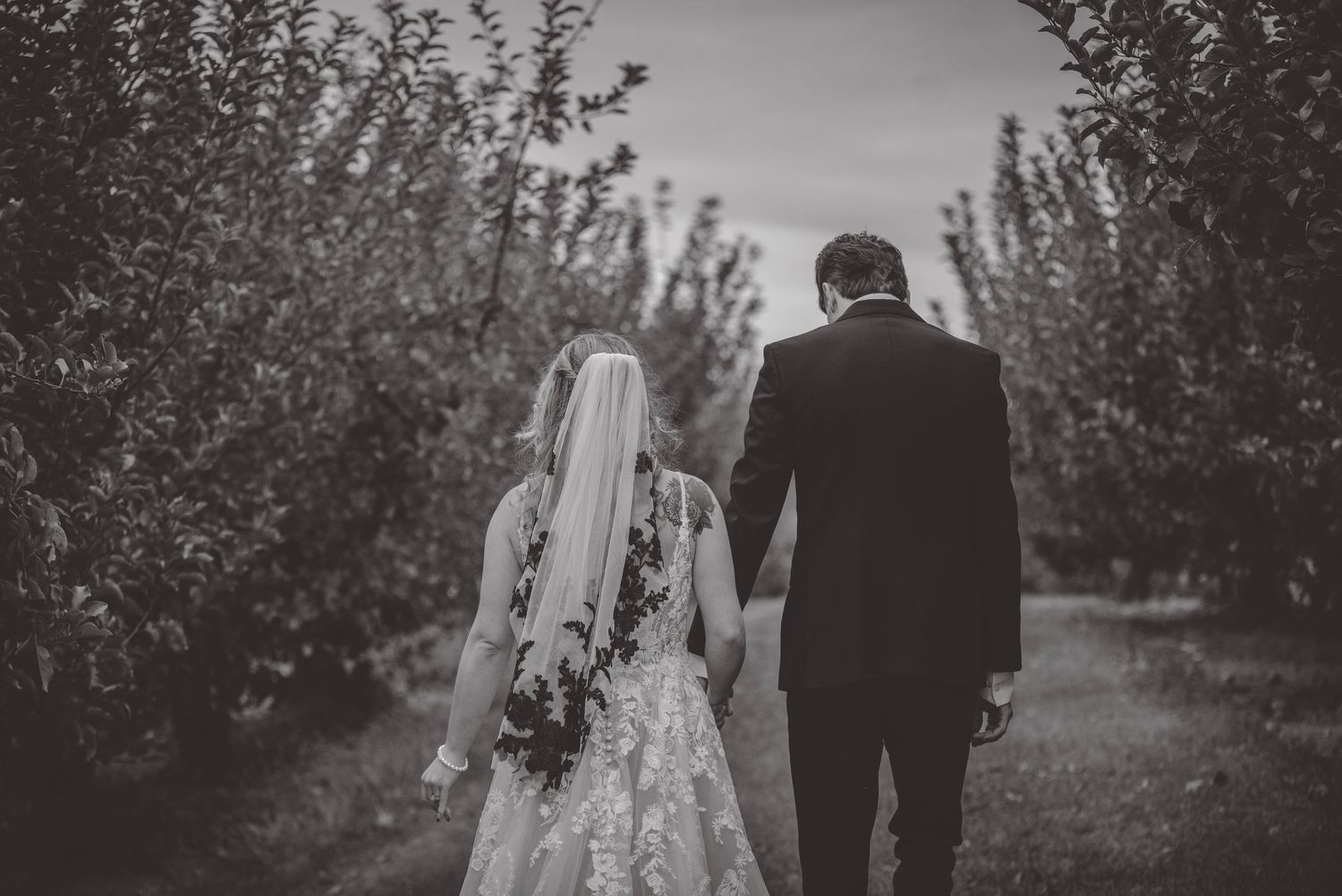 Black and white wedding photo of couple walking through orchard trees.