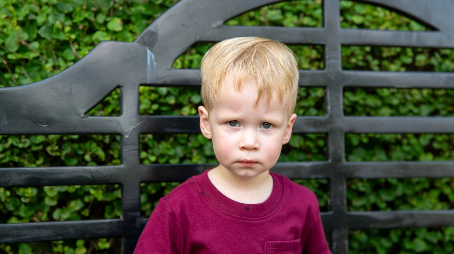 Series of outdoor portraits against a metal bench with green foliage in background.